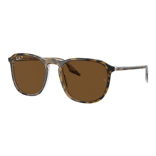 Ray-Ban Polarized RB2203 Sunglasses
