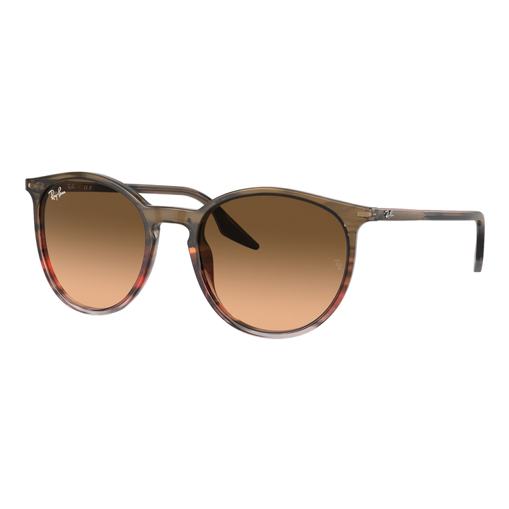 Ray-Ban RB2204 Sunglasses