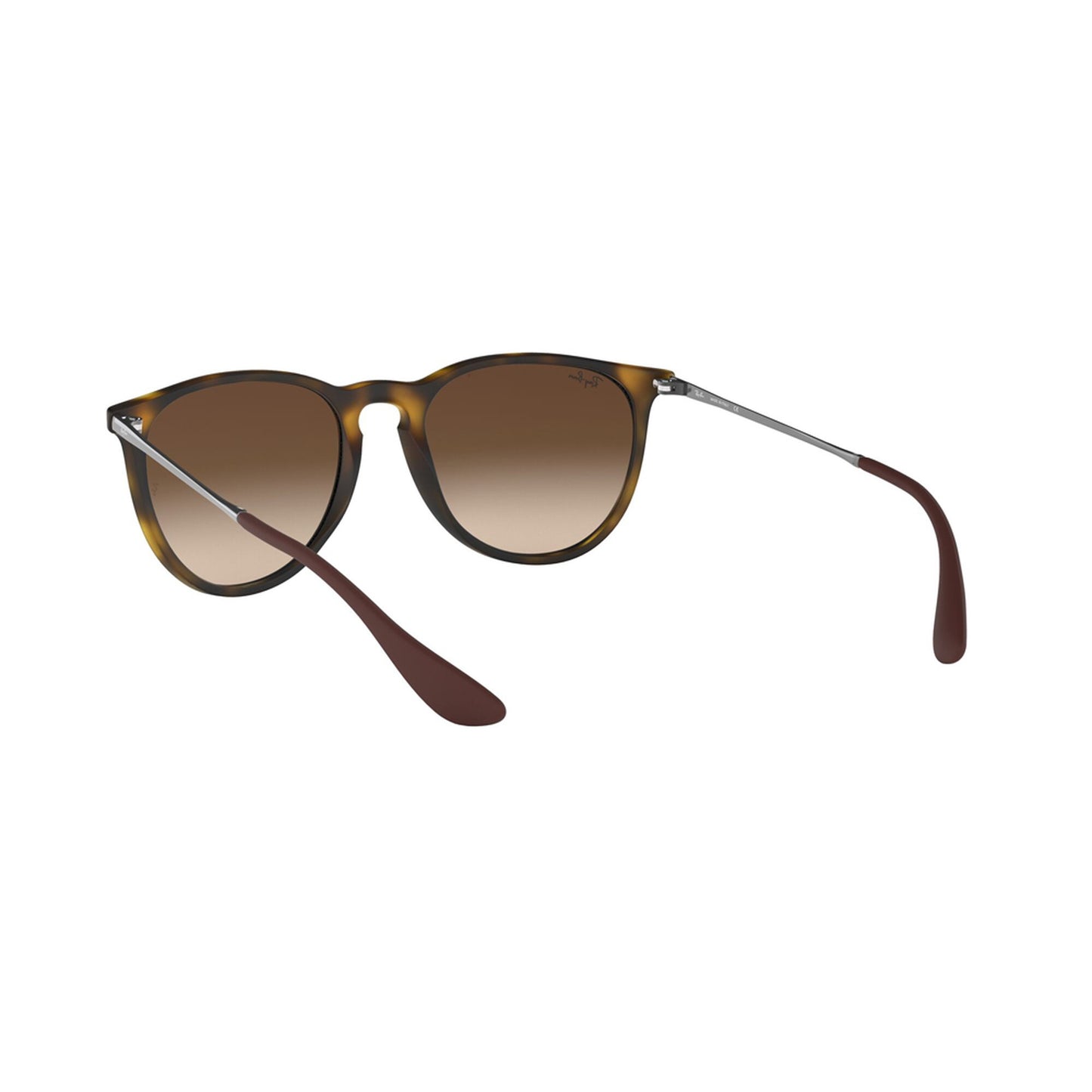 Ray-Ban Women's Erika Sunglasses