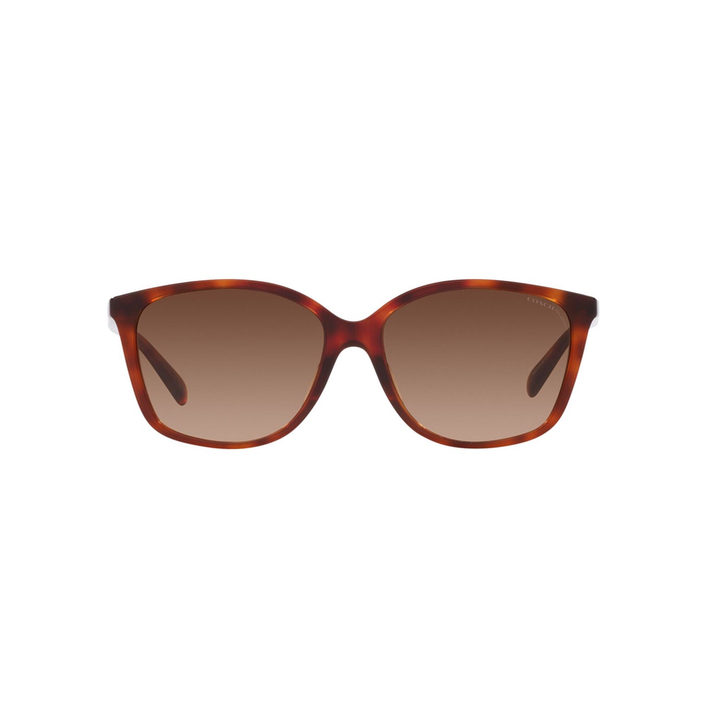 Coach Women's Polarized CH558 Sunglasses