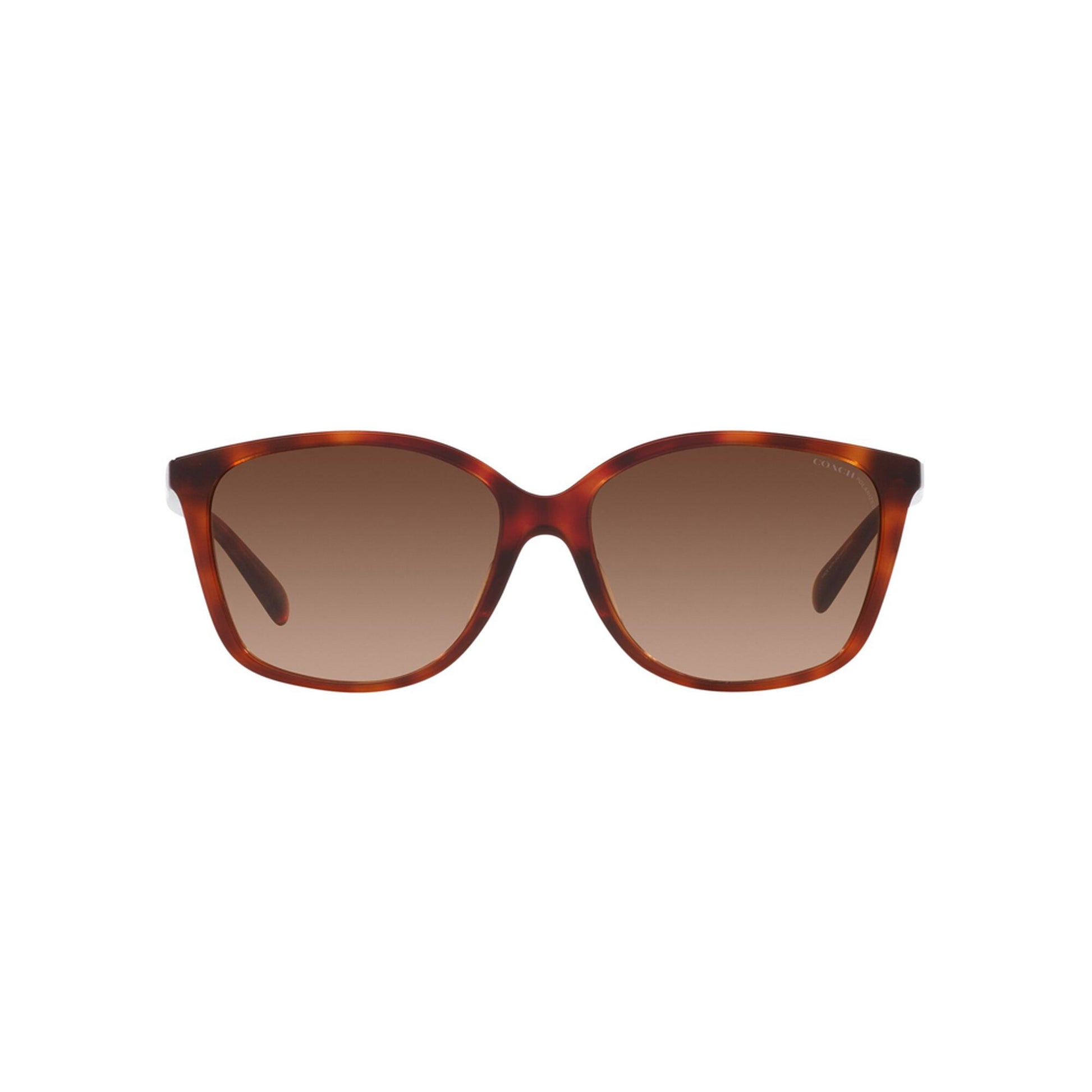 Coach Women's Polarized CH558 Sunglasses