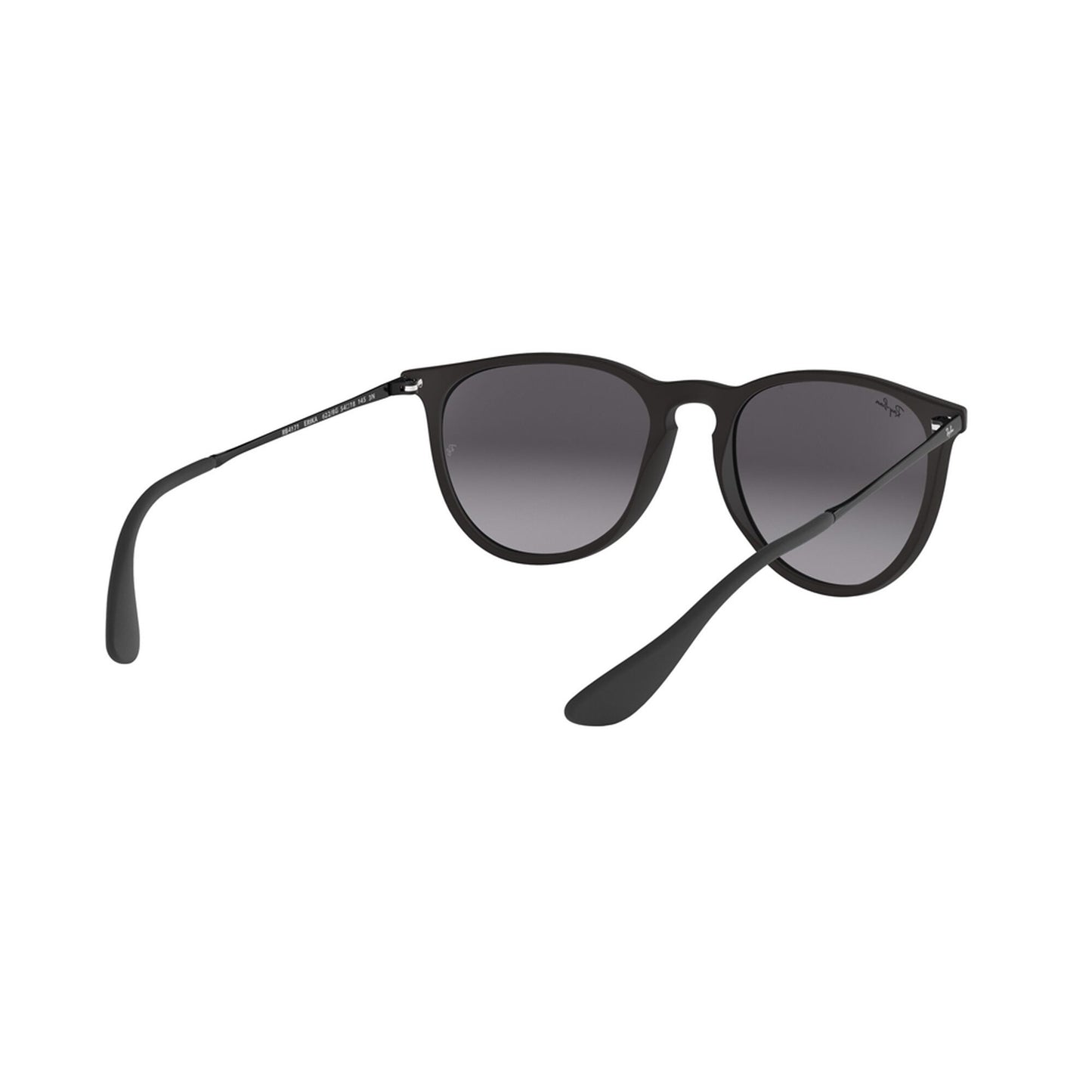 Ray-Ban Women's Erika Sunglasses