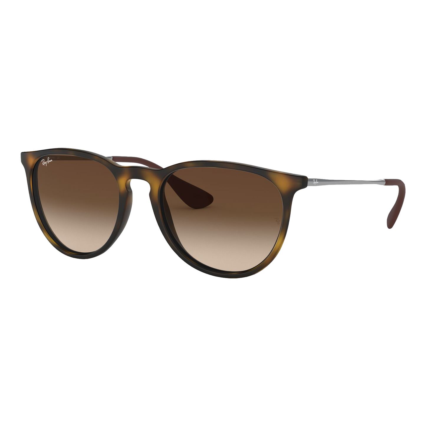 Ray-Ban Women's Erika Sunglasses