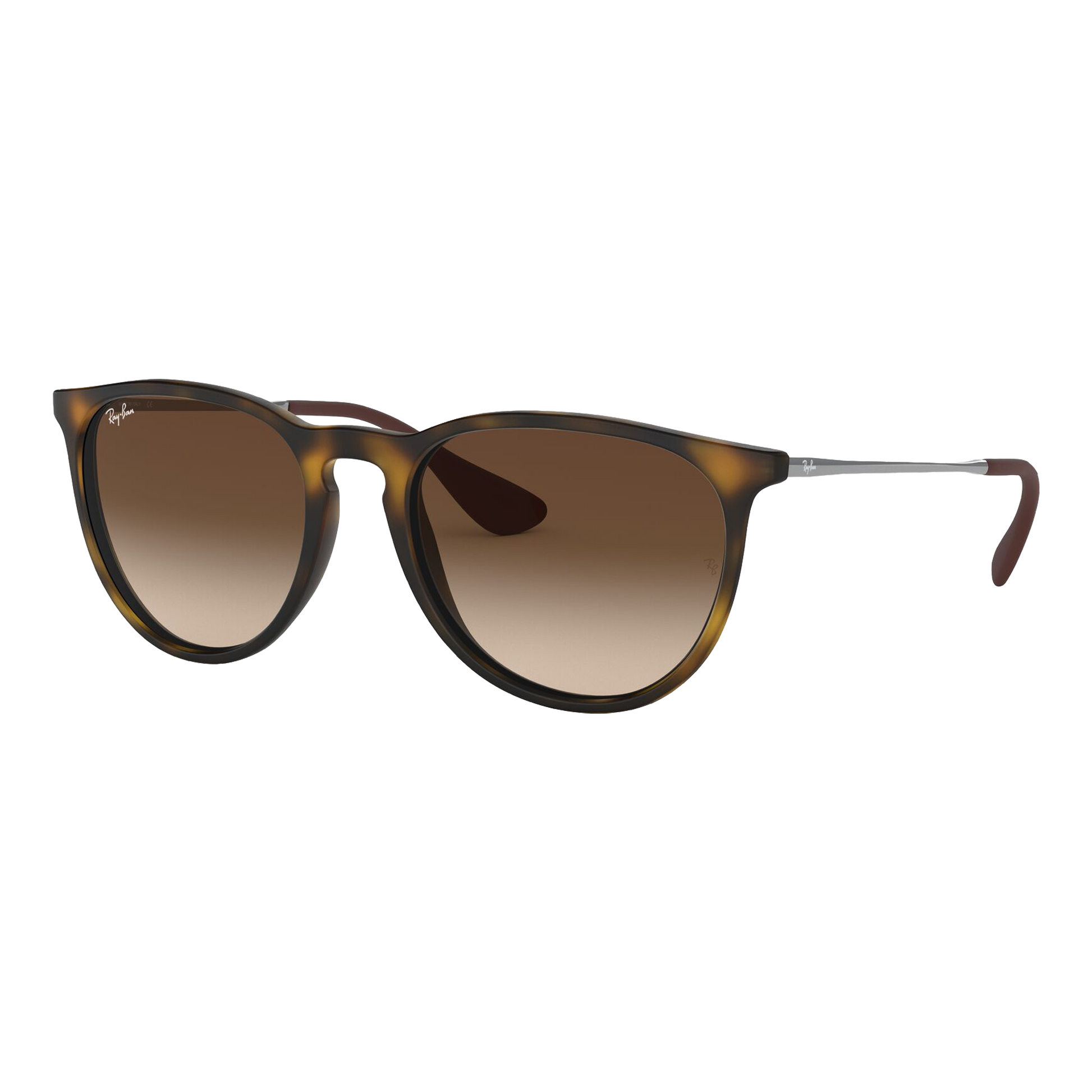 Ray-Ban Women's Erika Sunglasses