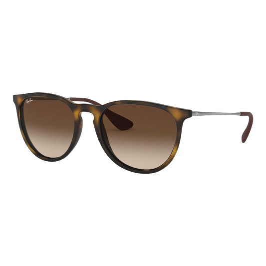 Ray-Ban Women's Erika Sunglasses