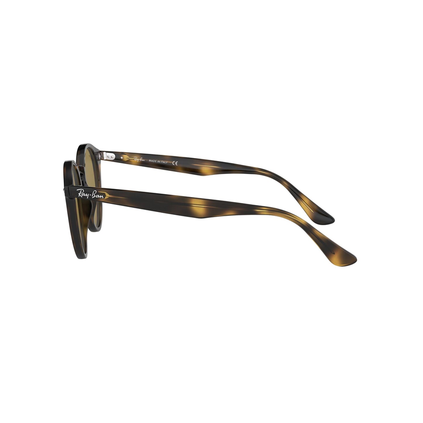 Ray-Ban Round Sunglasses