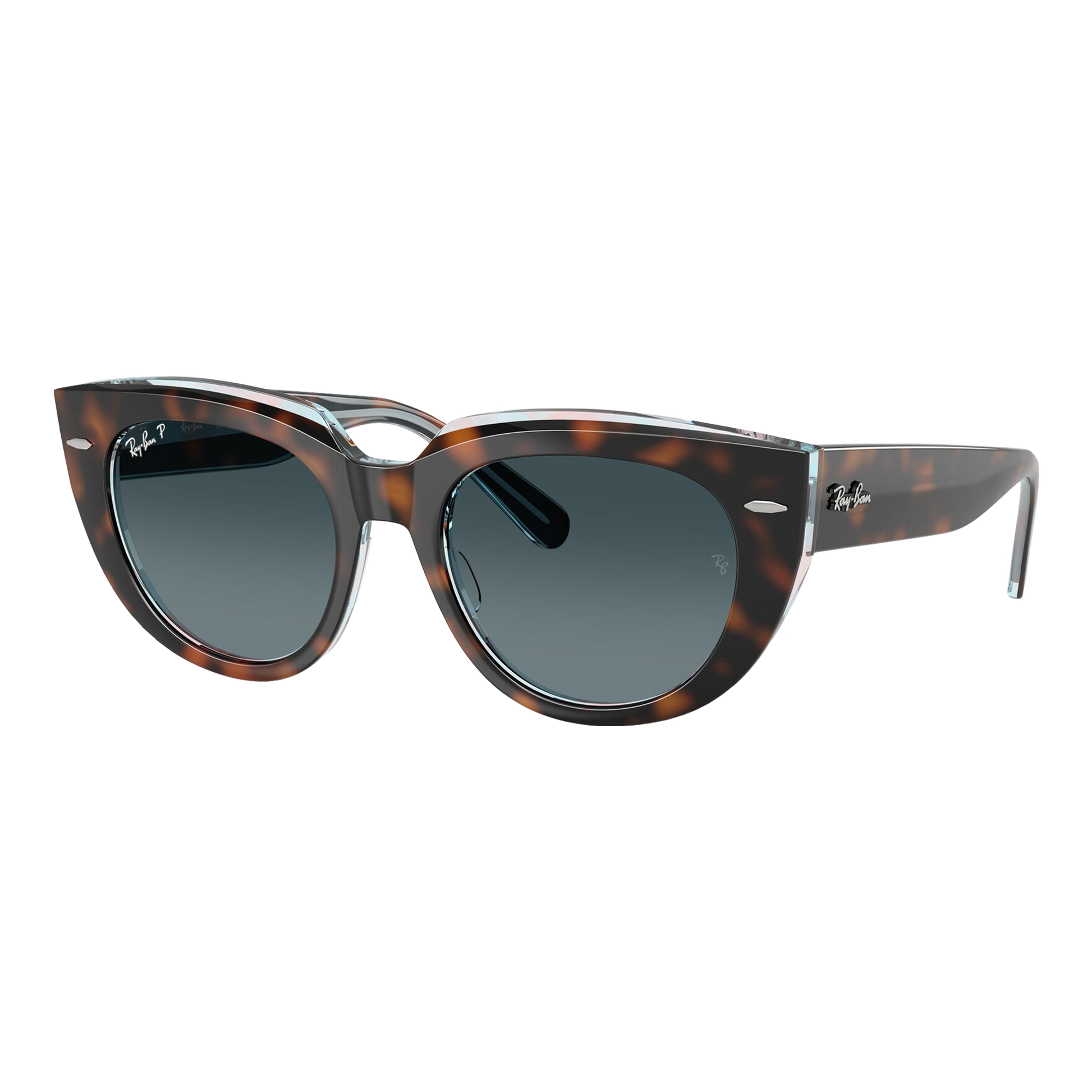 Ray-Ban Women's Polarized Doreen Sunglasses