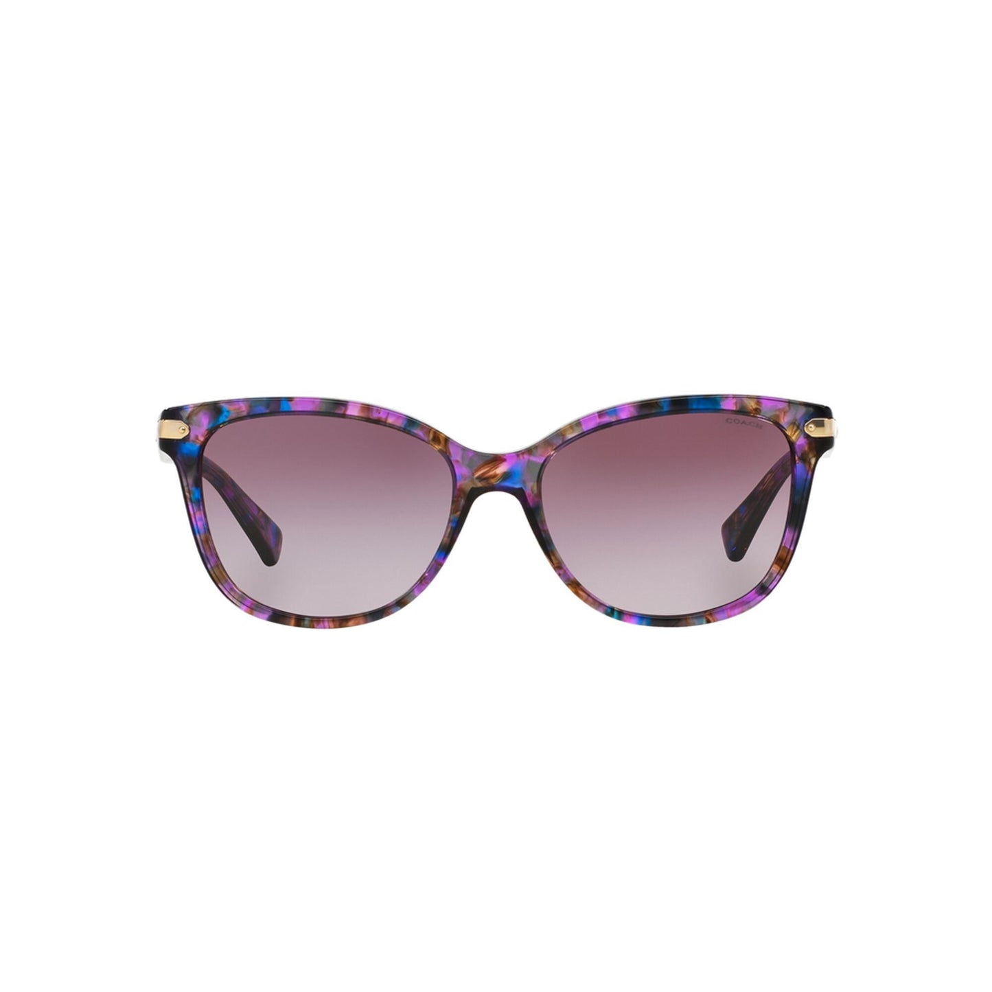 Coach Women's HC8132 Sunglasses