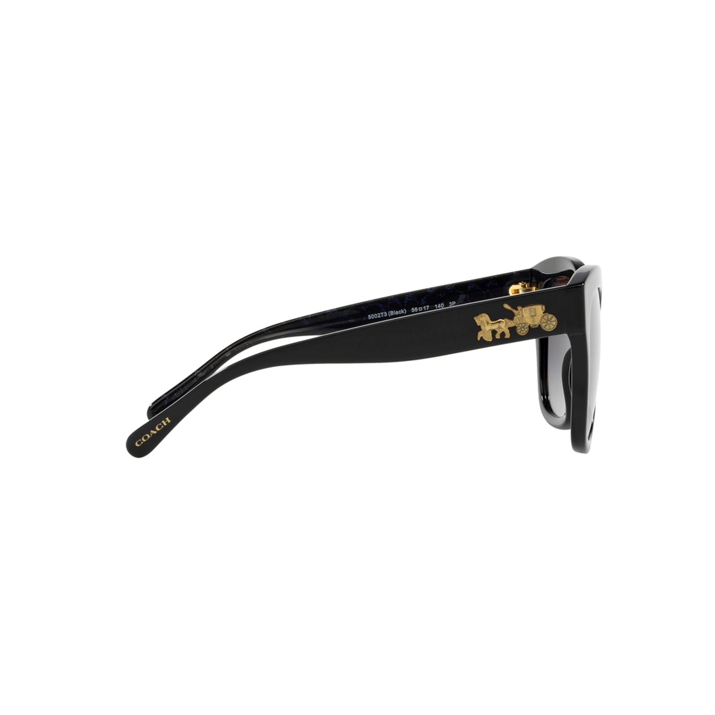 Coach Women's Polarized HC8264 Sunglasses