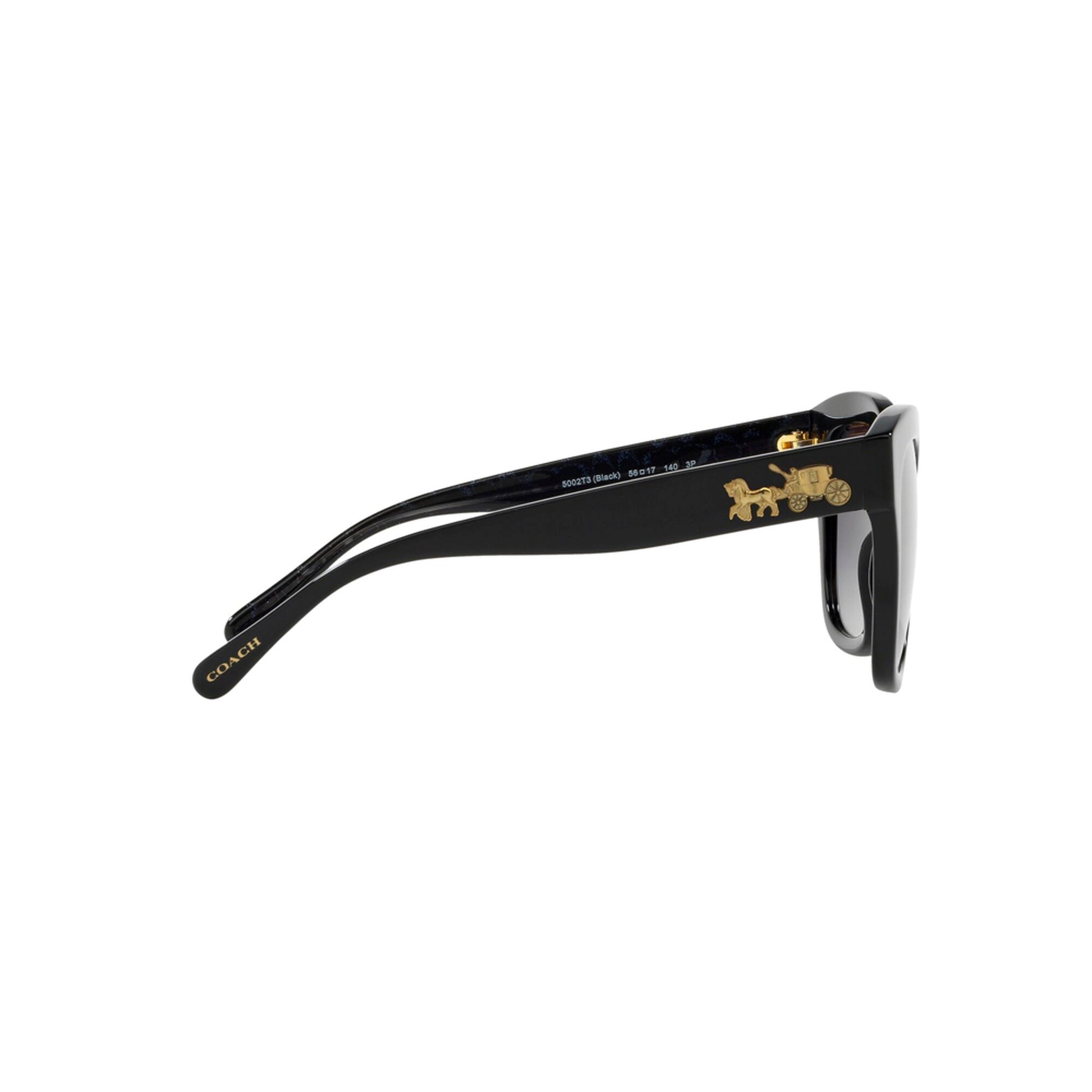 Coach Women's Polarized HC8264 Sunglasses