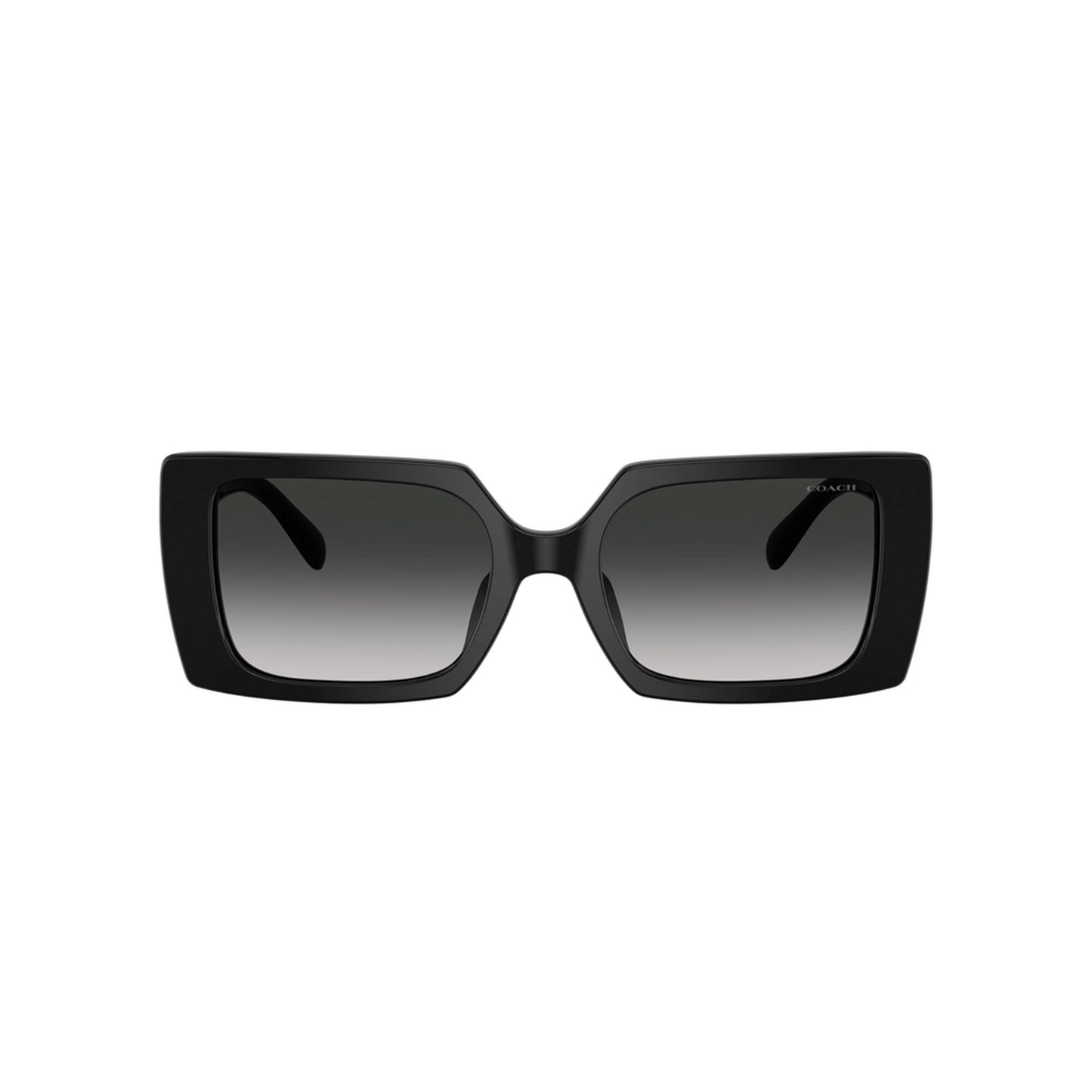 Coach Women's Rogue Oversized Square Sunglasses