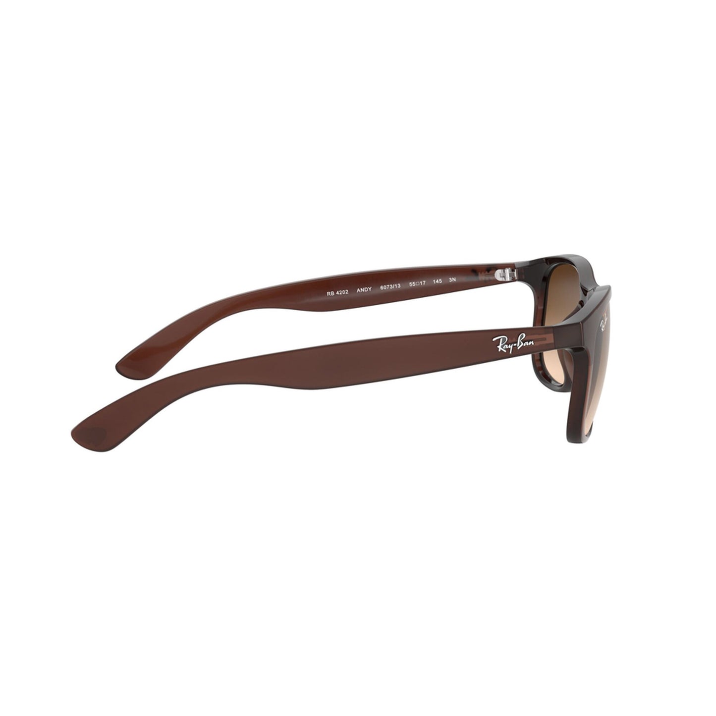 Ray-Ban Andy Sunglasses