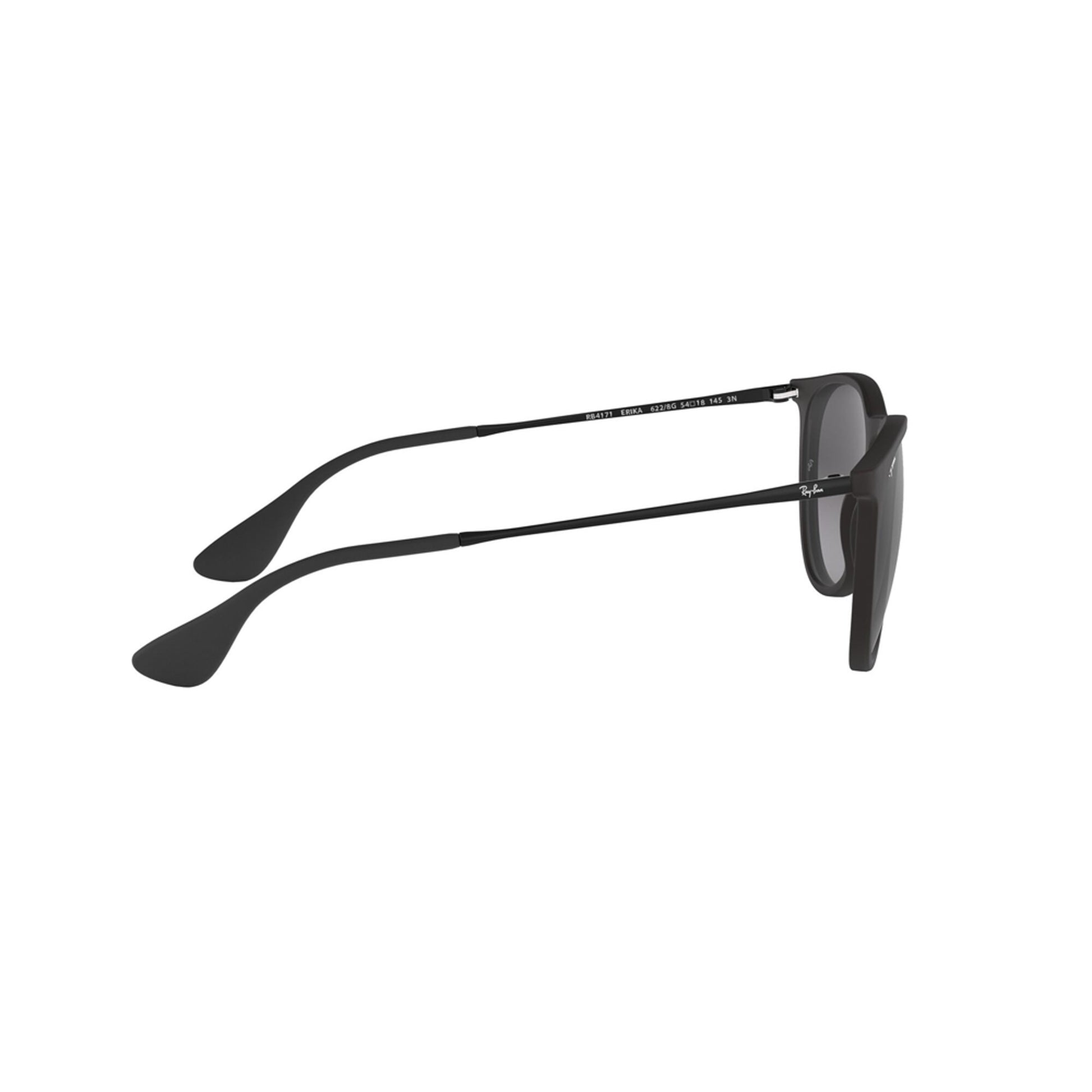 Ray-Ban Women's Erika Sunglasses