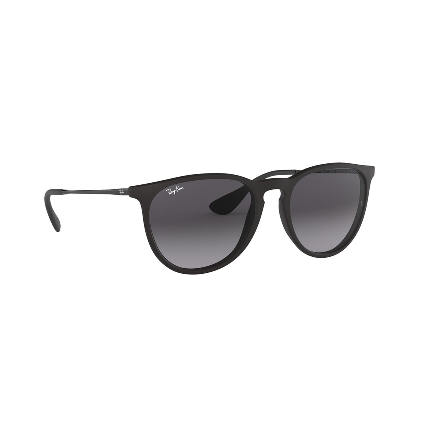 Ray-Ban Women's Erika Sunglasses