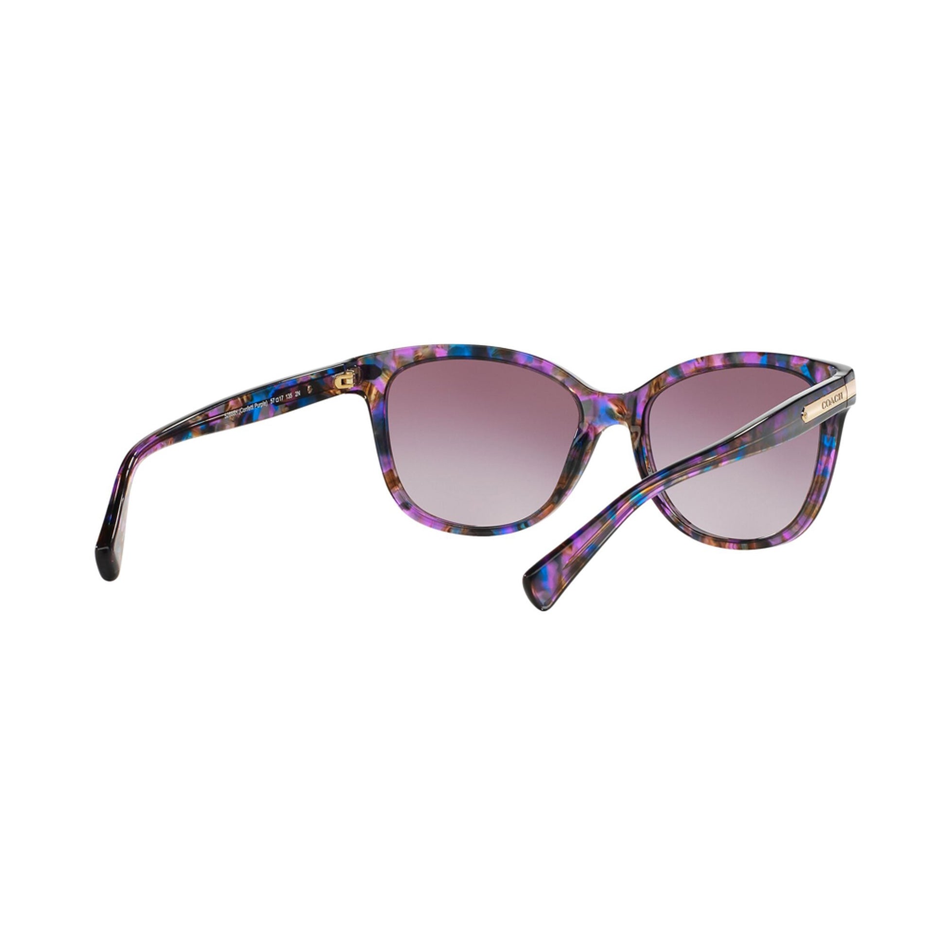 Coach Women's HC8132 Sunglasses