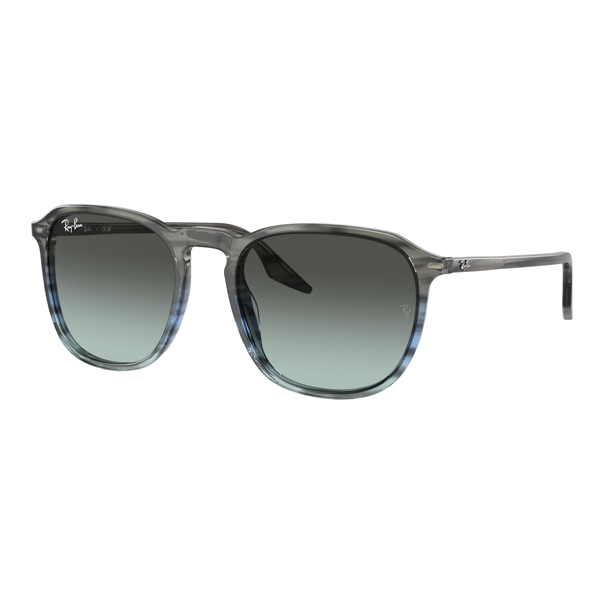 Ray-Ban RB2203 Sunglasses