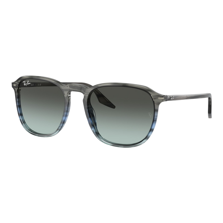 Ray-Ban RB2203 Sunglasses