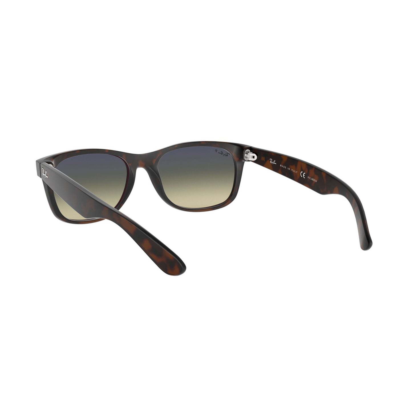 Ray-Ban Polarized New Wayfarer Matte Sunglasses