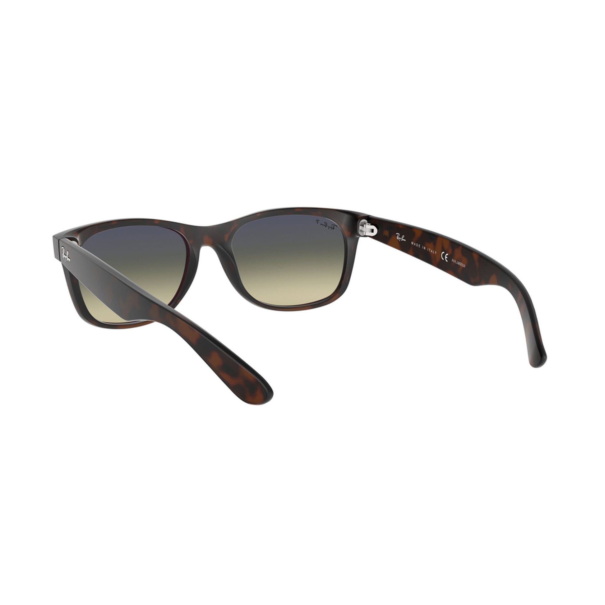 Ray-Ban Polarized New Wayfarer Matte Sunglasses