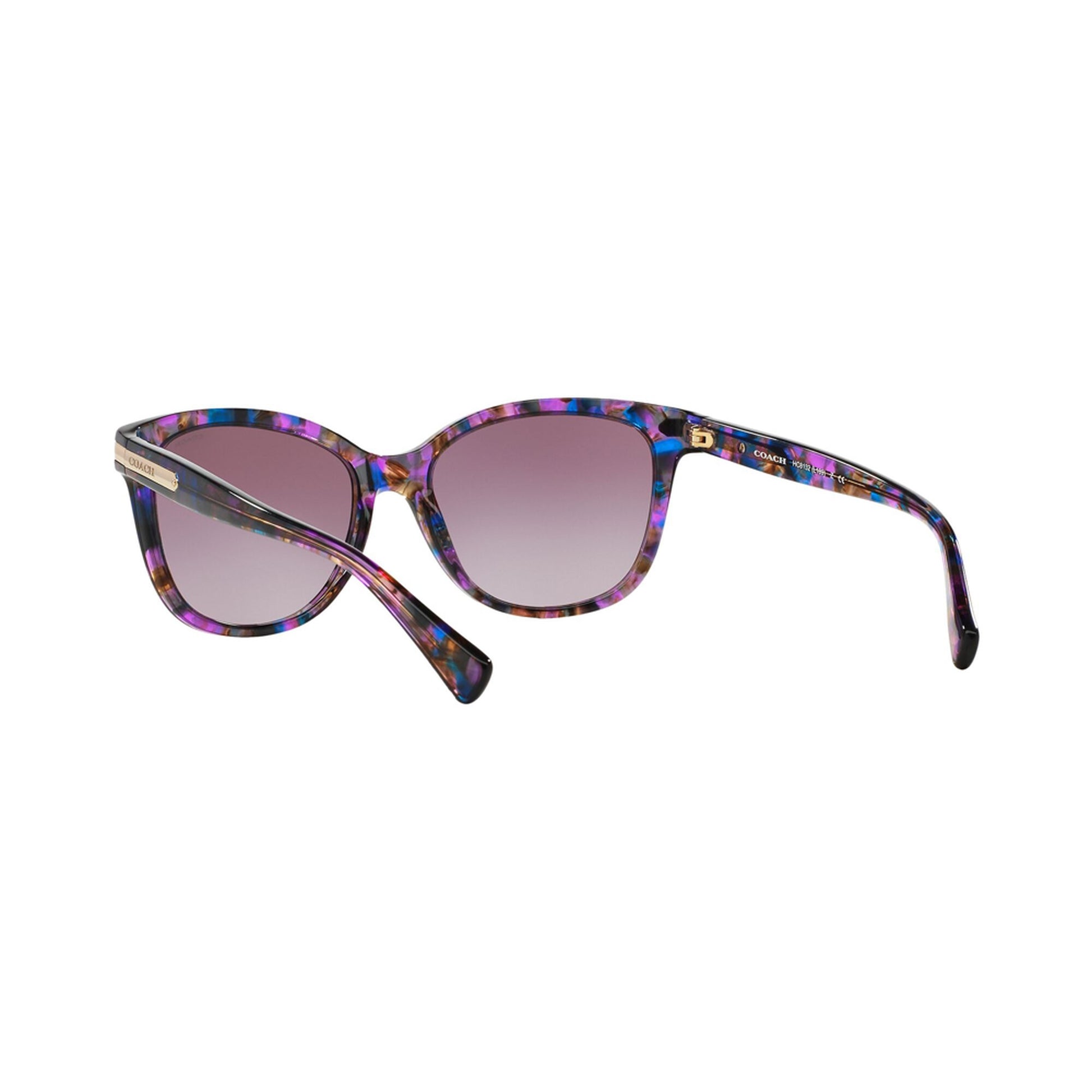 Coach Women's HC8132 Sunglasses