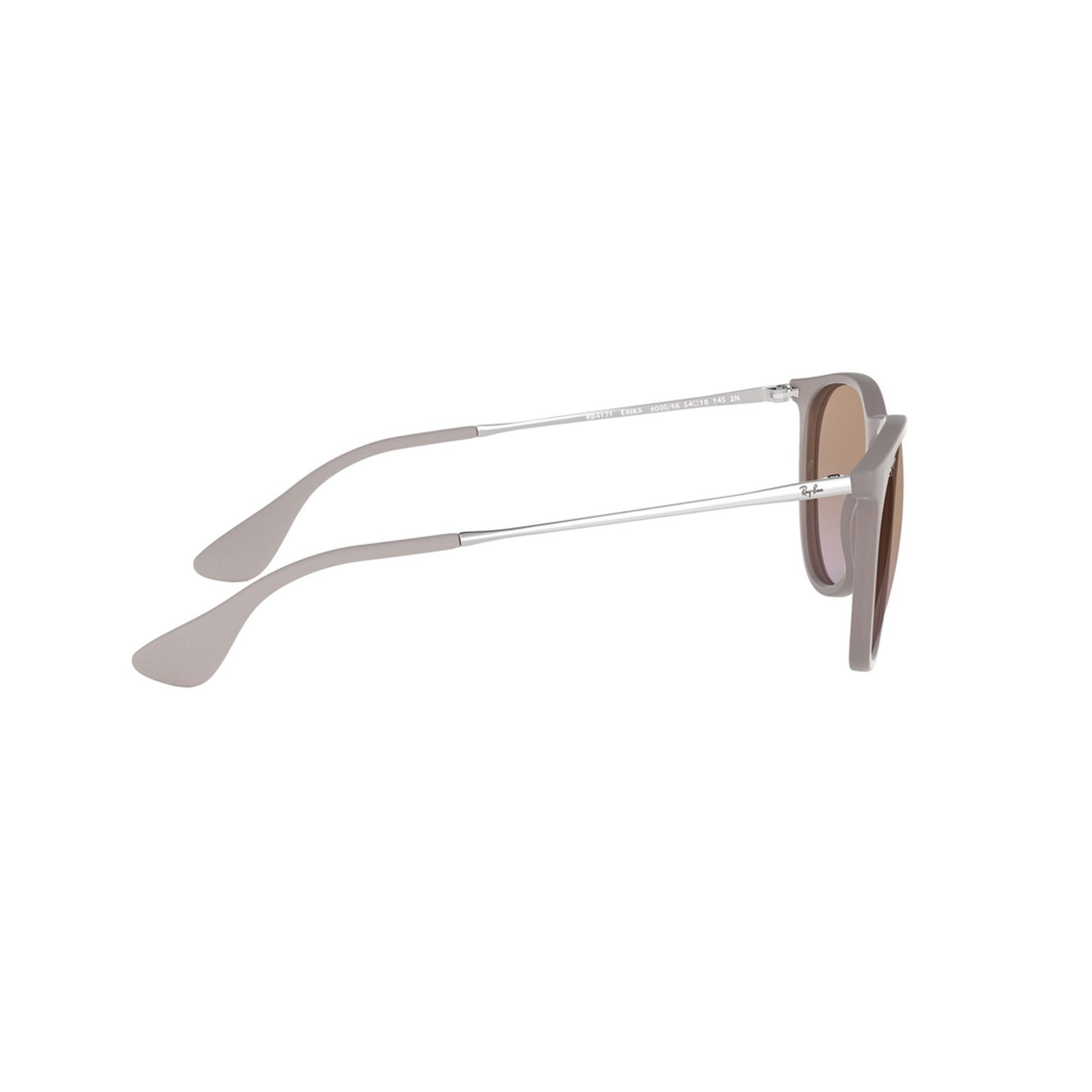 Ray-Ban Women's Erika Classic Sunglasses