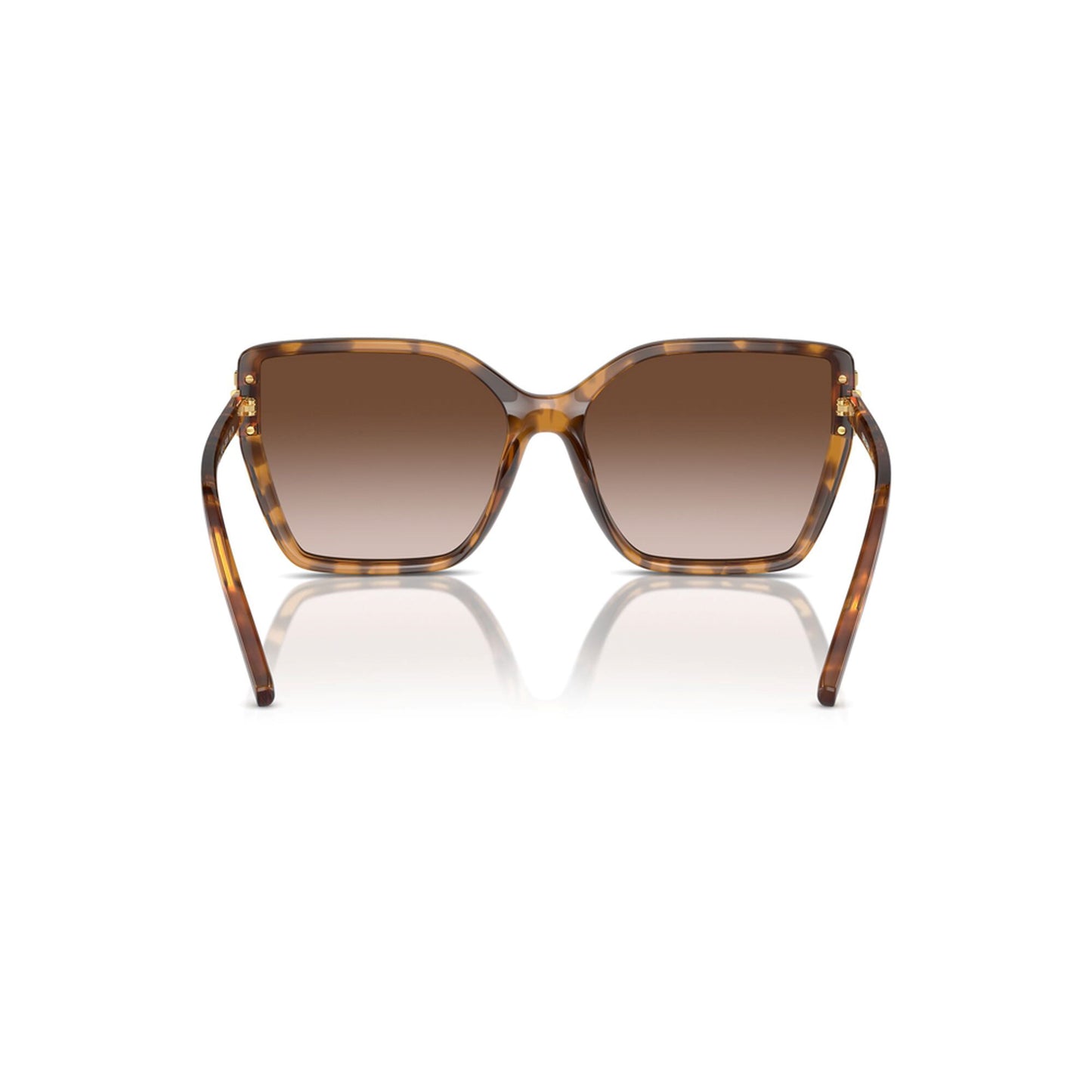 Tory Burch Women's Eleanor Oversized Cat-Eye Sunglasses