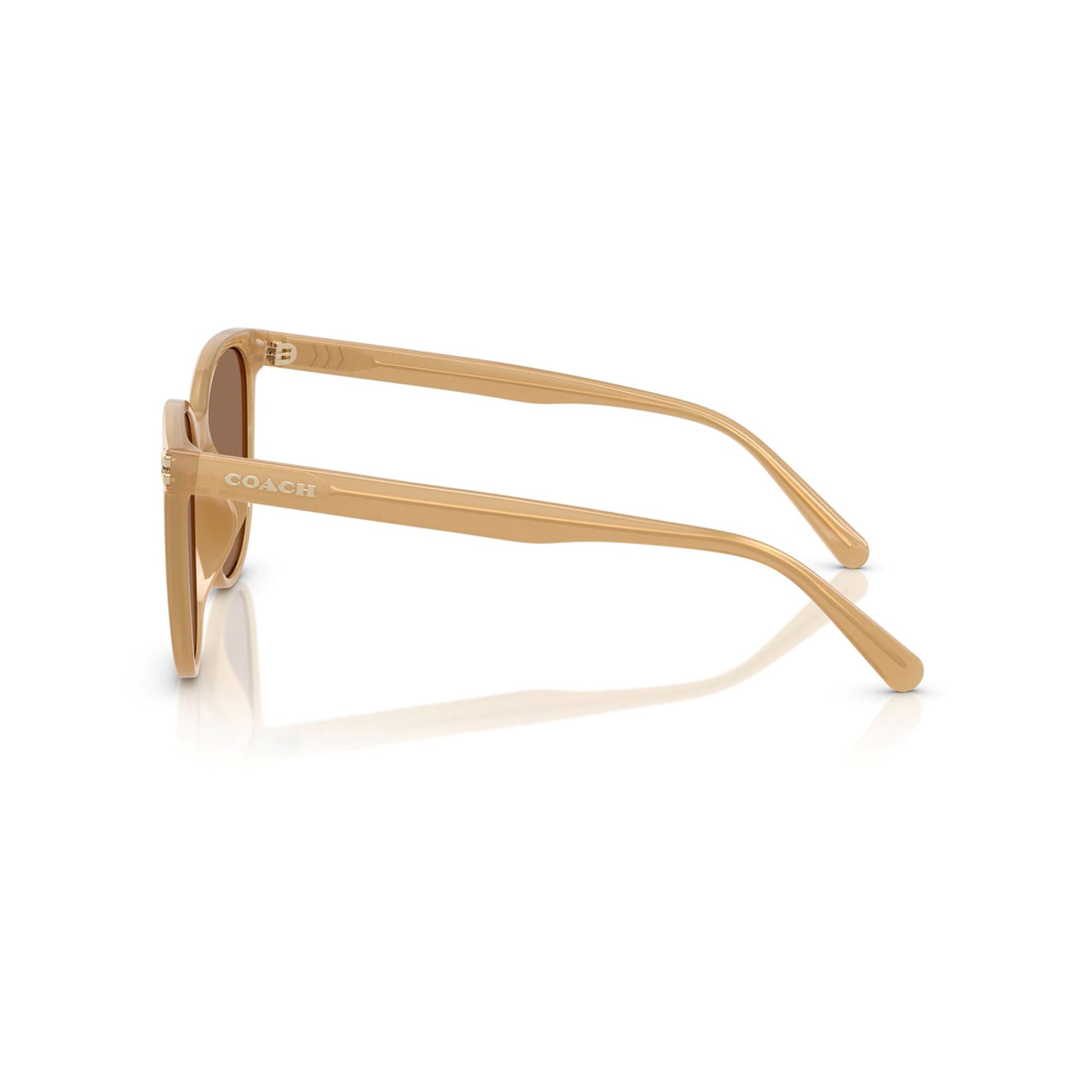 Coach Women's Embedded Signature Round Sunglasses