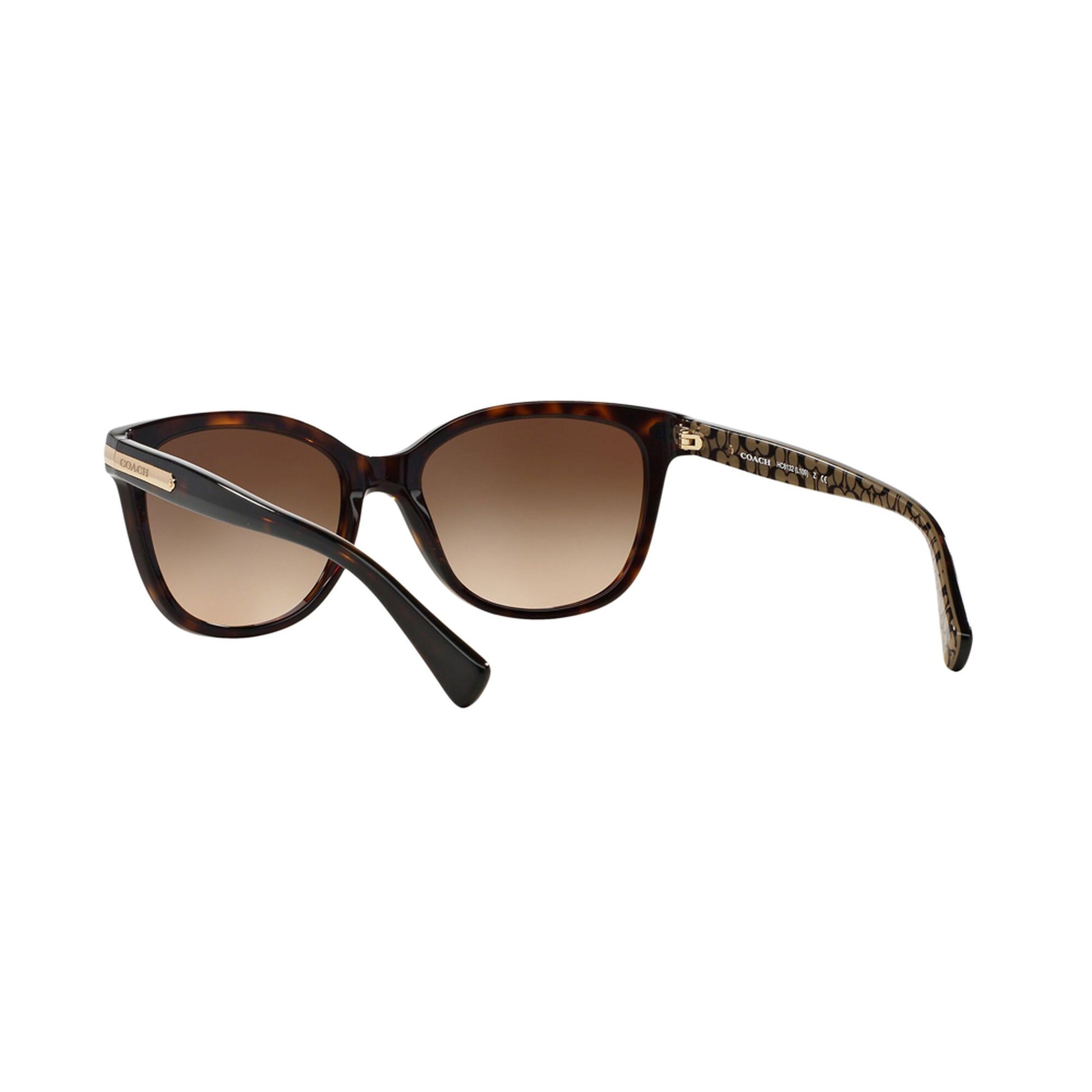 Coach Women's HC8132 Sunglasses