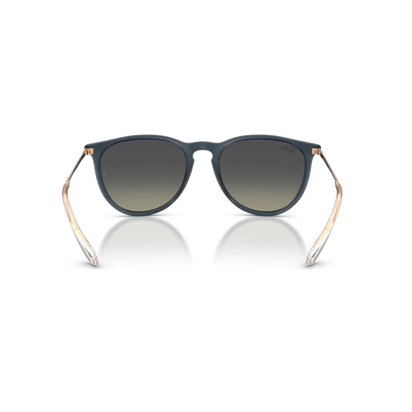 Ray-Ban Women's Erika Classic Sunglasses