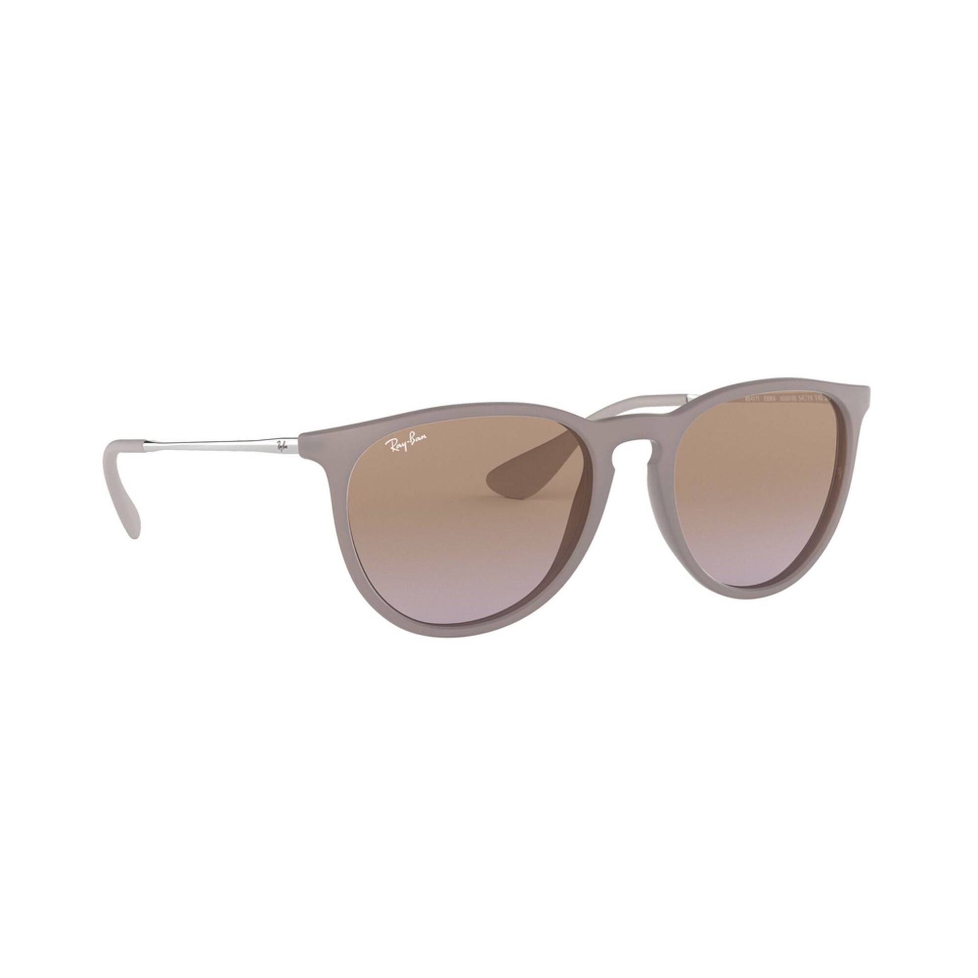 Ray-Ban Women's Erika Classic Sunglasses