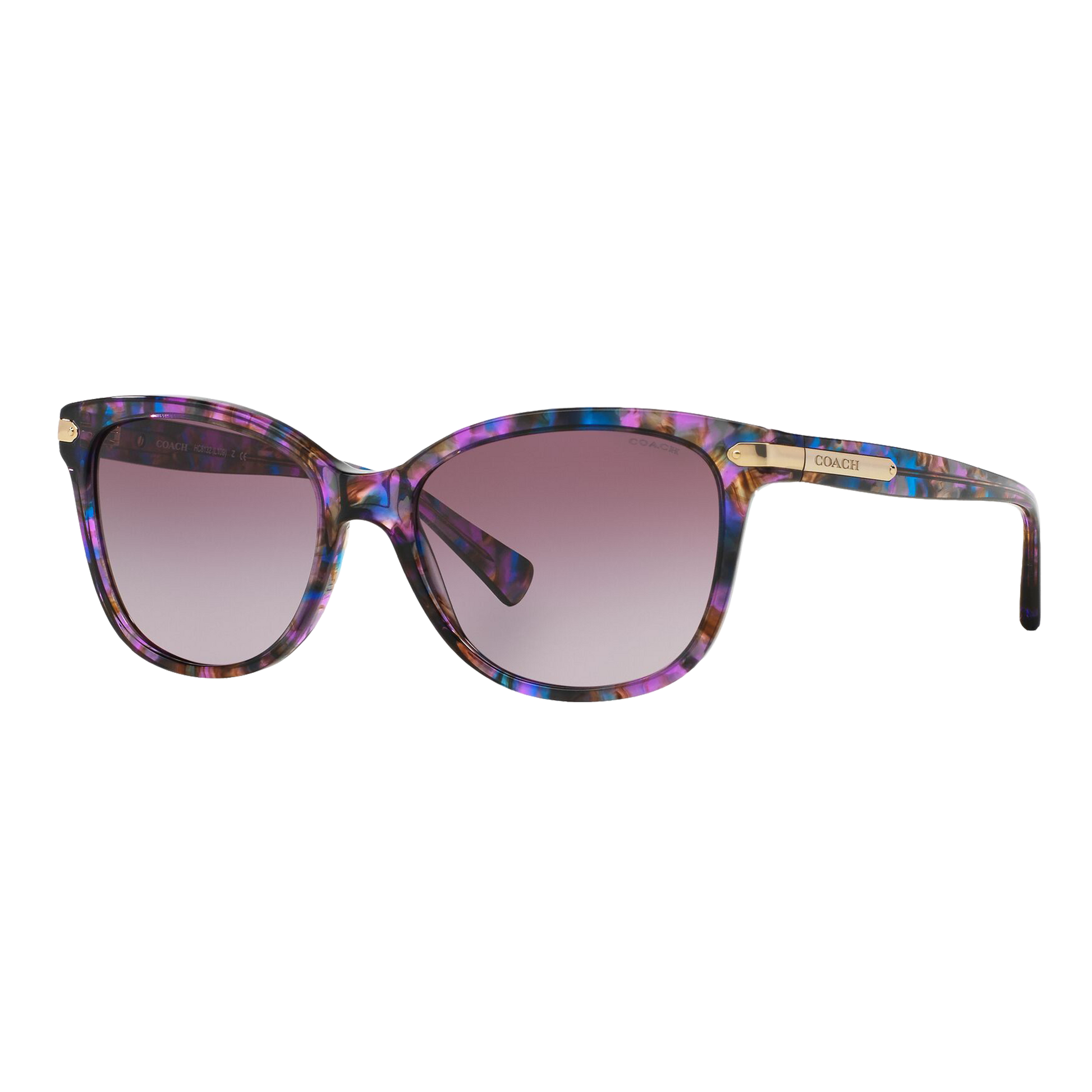 Coach Women's HC8132 Sunglasses