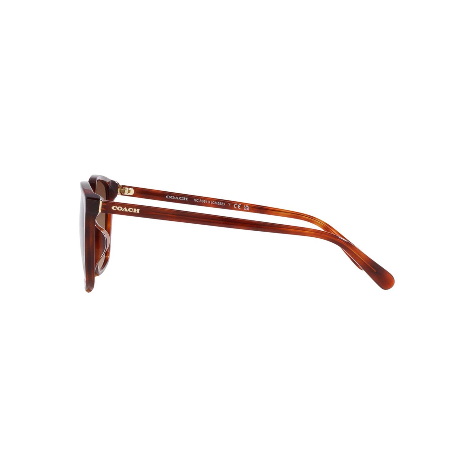 Coach Women's Polarized CH558 Sunglasses