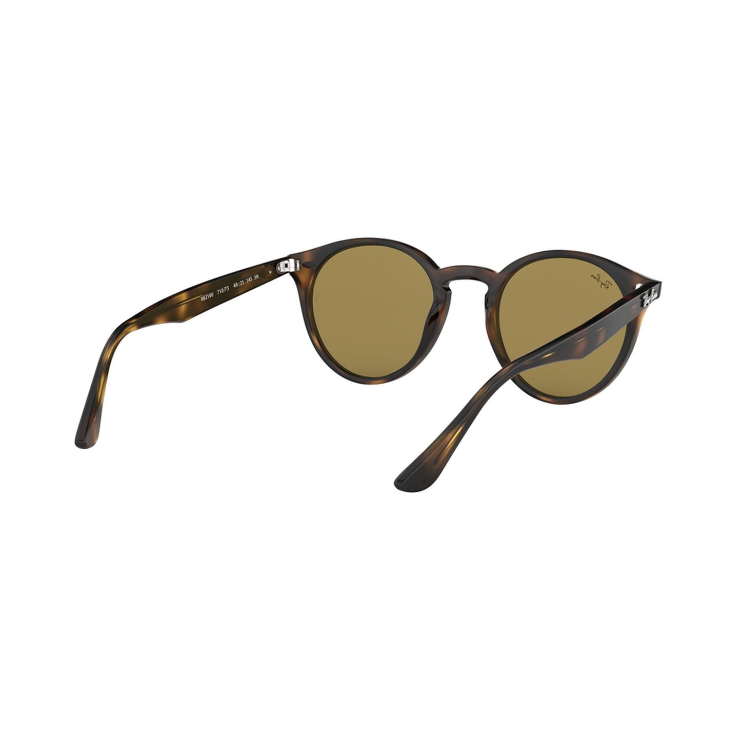 Ray-Ban Round Sunglasses
