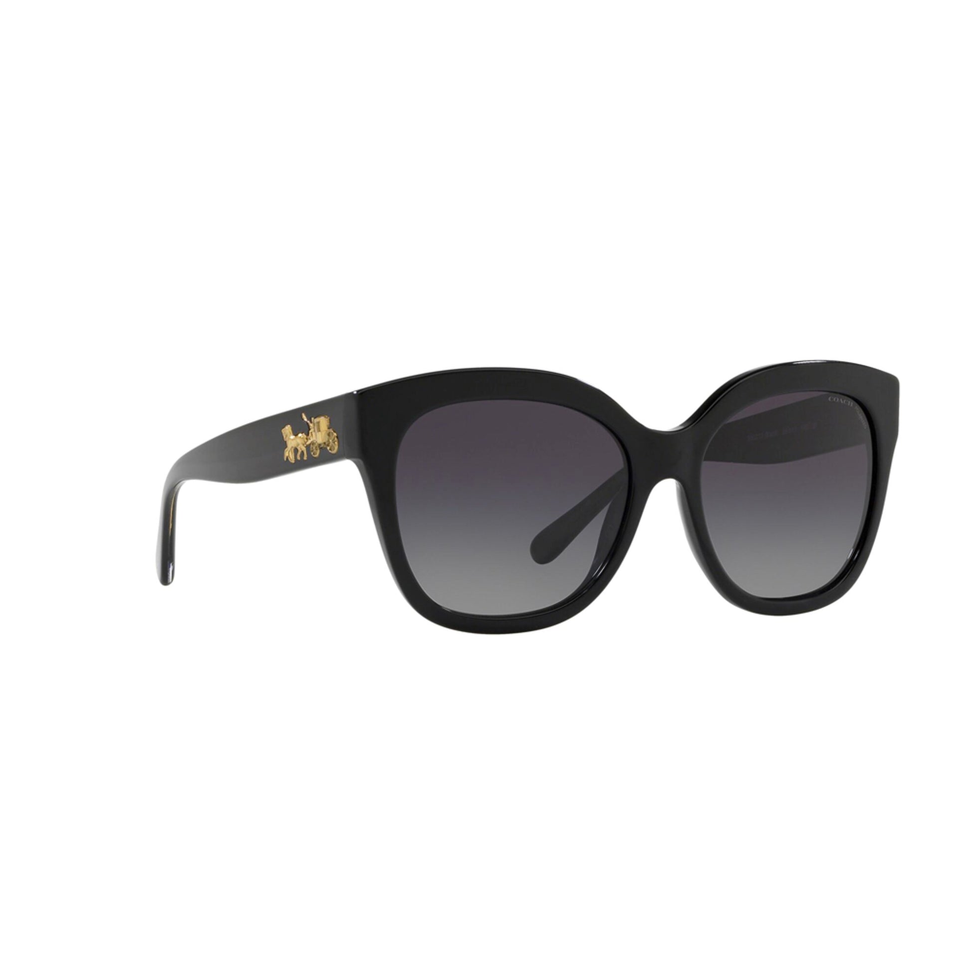 Coach Women's Polarized HC8264 Sunglasses
