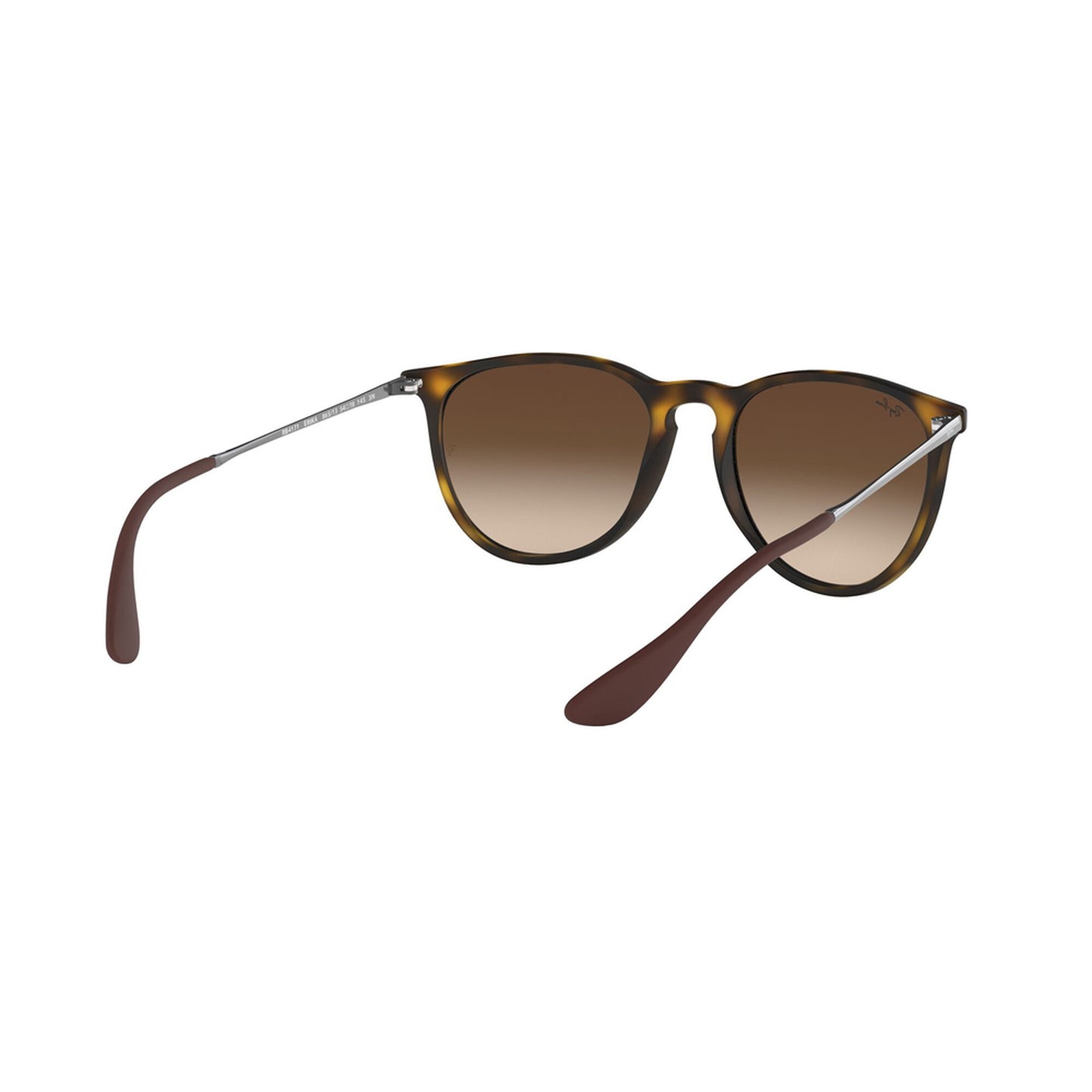 Ray-Ban Women's Erika Sunglasses