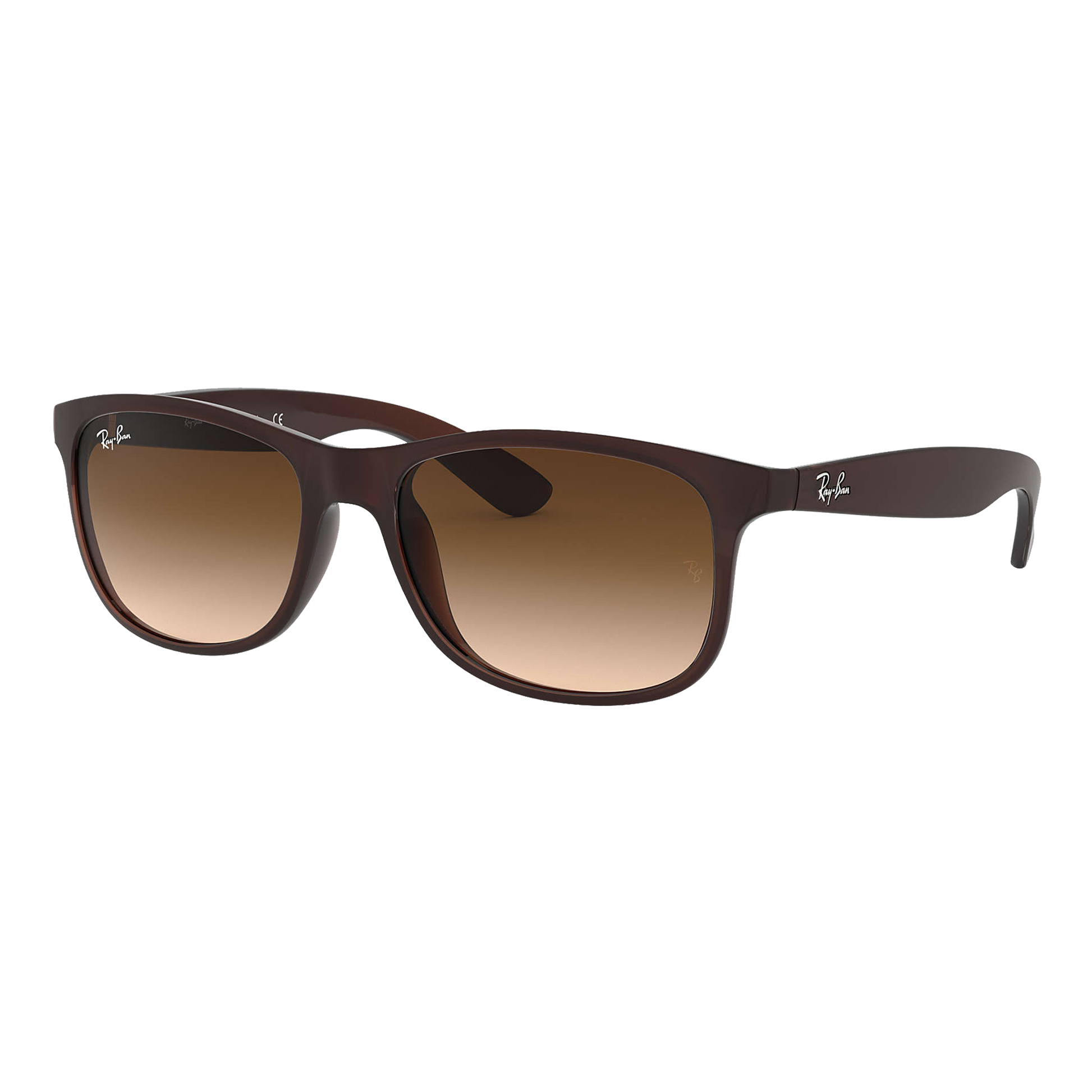 Ray-Ban Andy Sunglasses