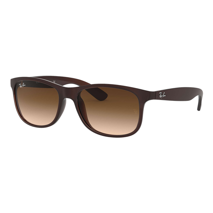 Ray-Ban Andy Sunglasses