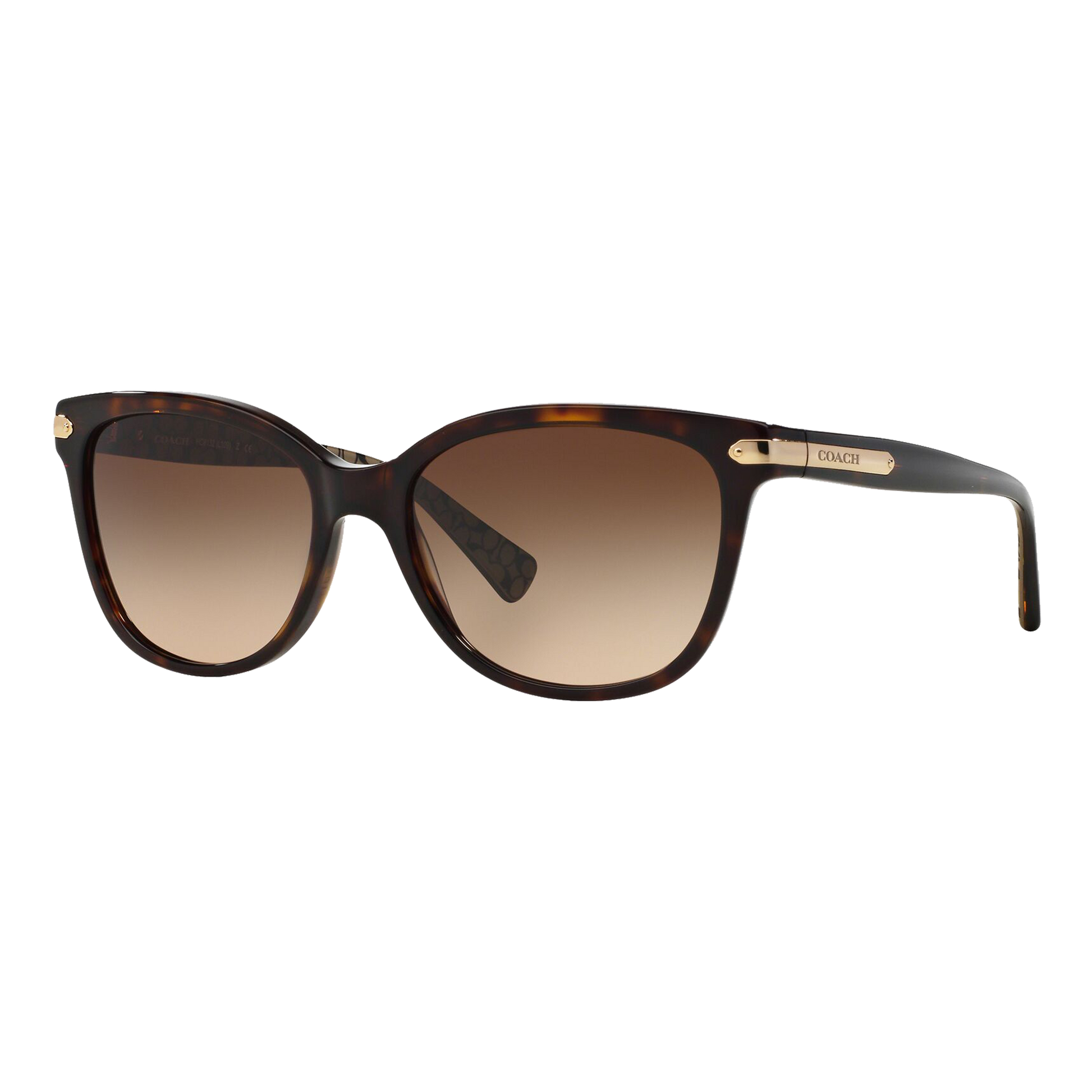 Coach Women's HC8132 Sunglasses