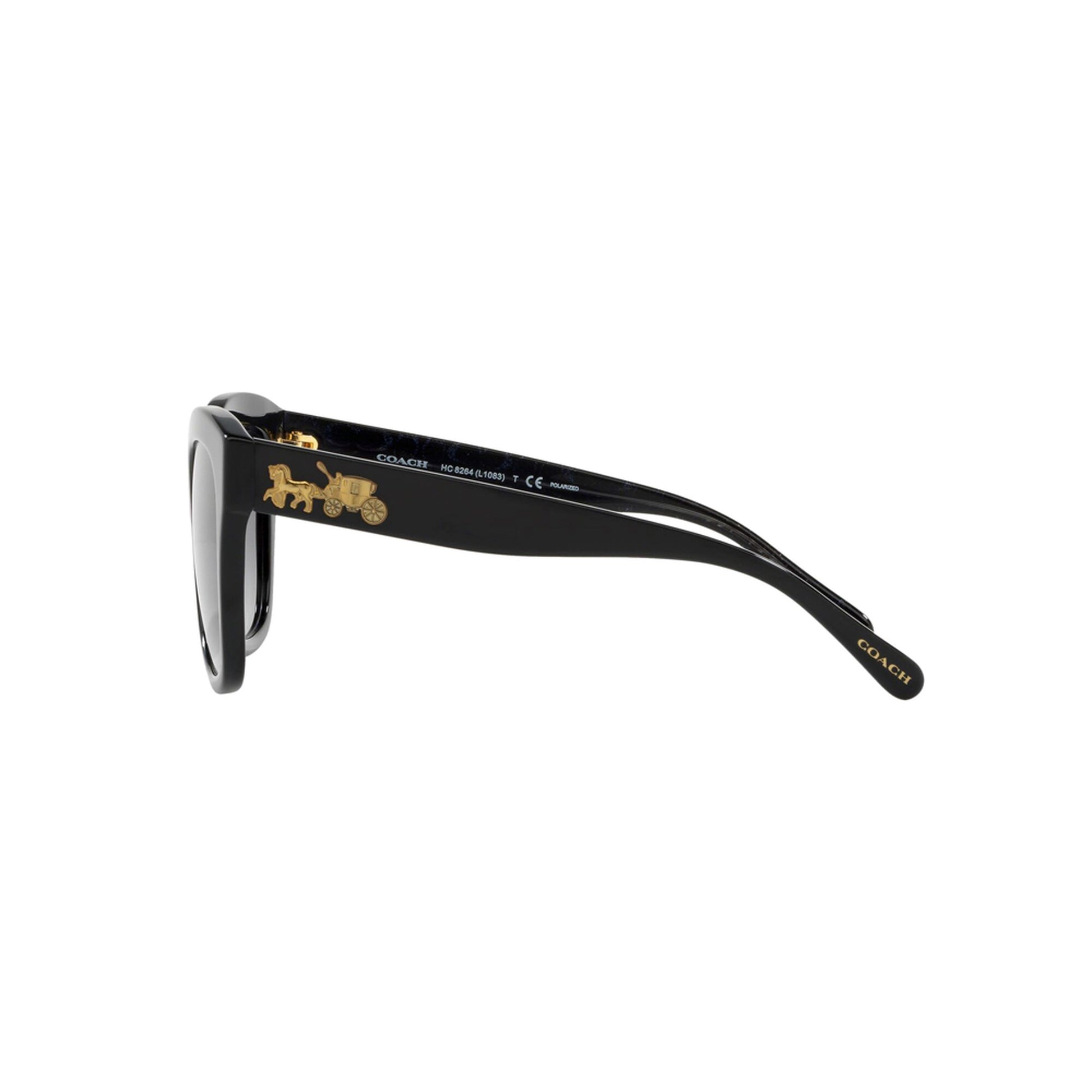 Coach Women's Polarized HC8264 Sunglasses