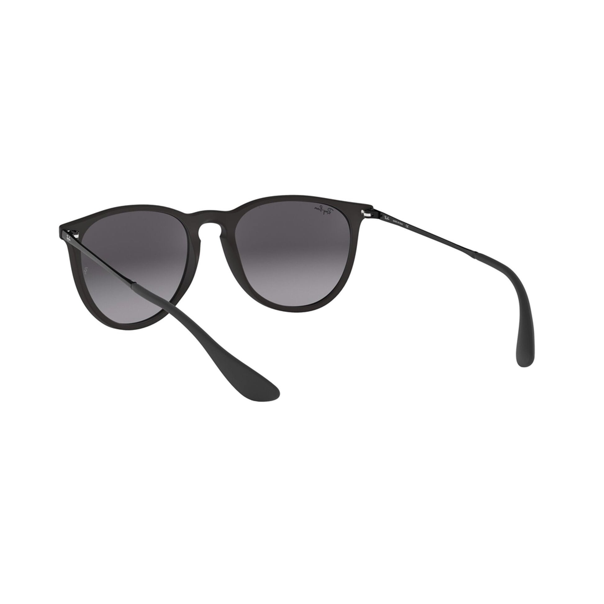 Ray-Ban Women's Erika Sunglasses