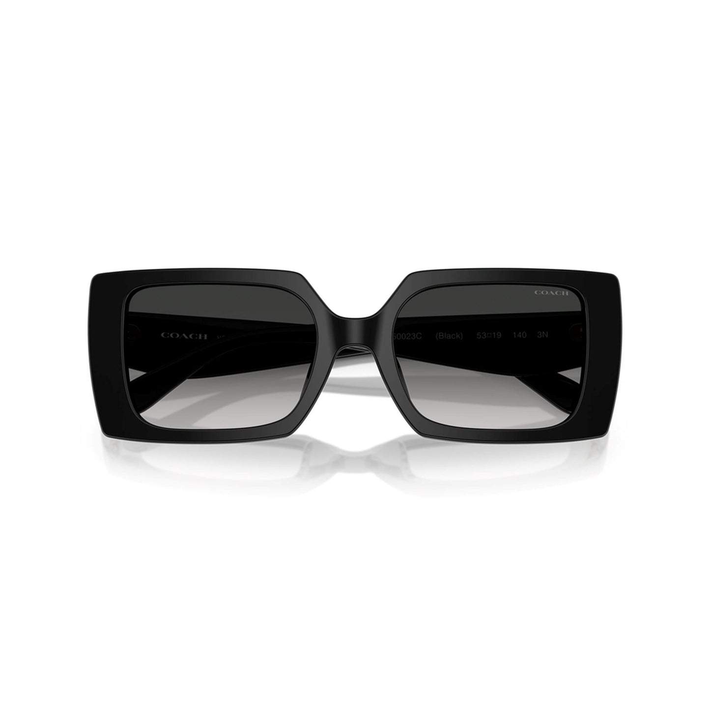 Coach Women's Rogue Oversized Square Sunglasses
