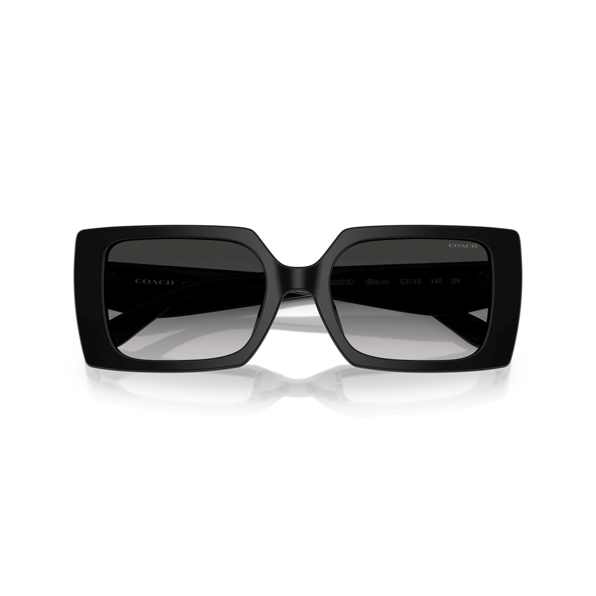 Coach Women's Rogue Oversized Square Sunglasses