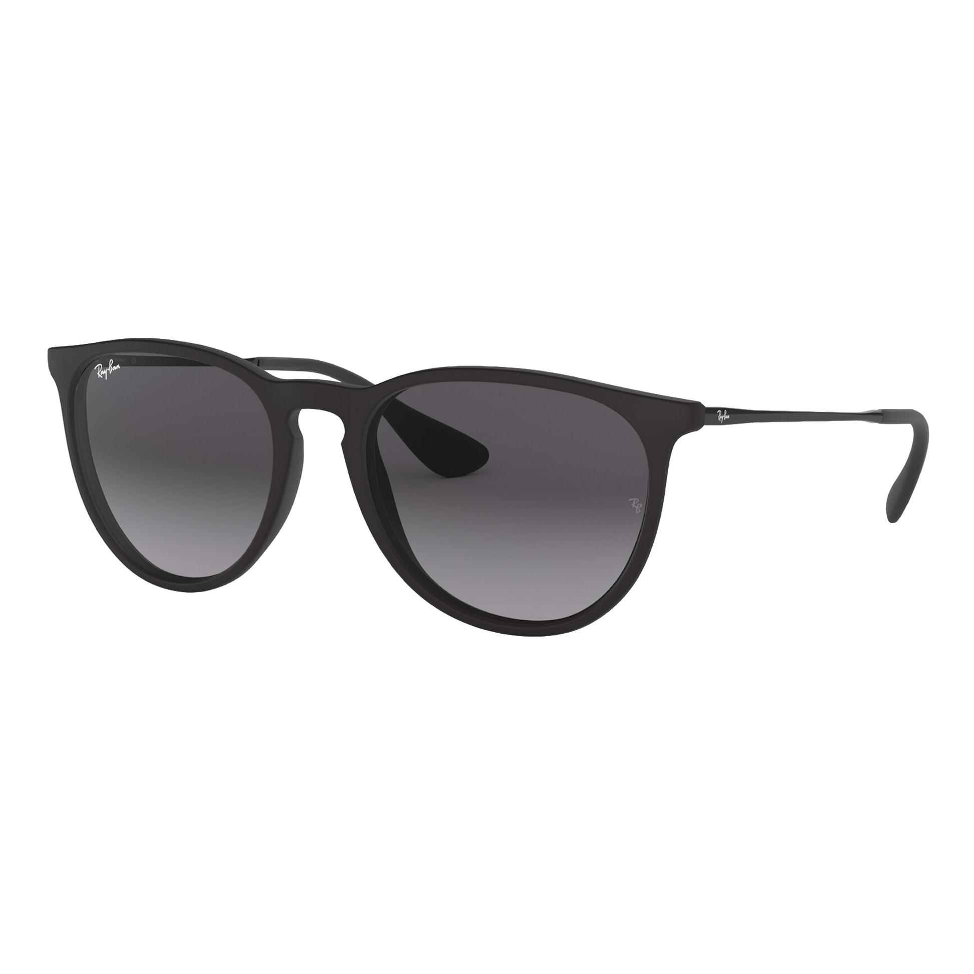 Ray-Ban Women's Erika Sunglasses
