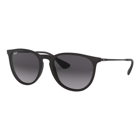 Ray-Ban Women's Erika Sunglasses
