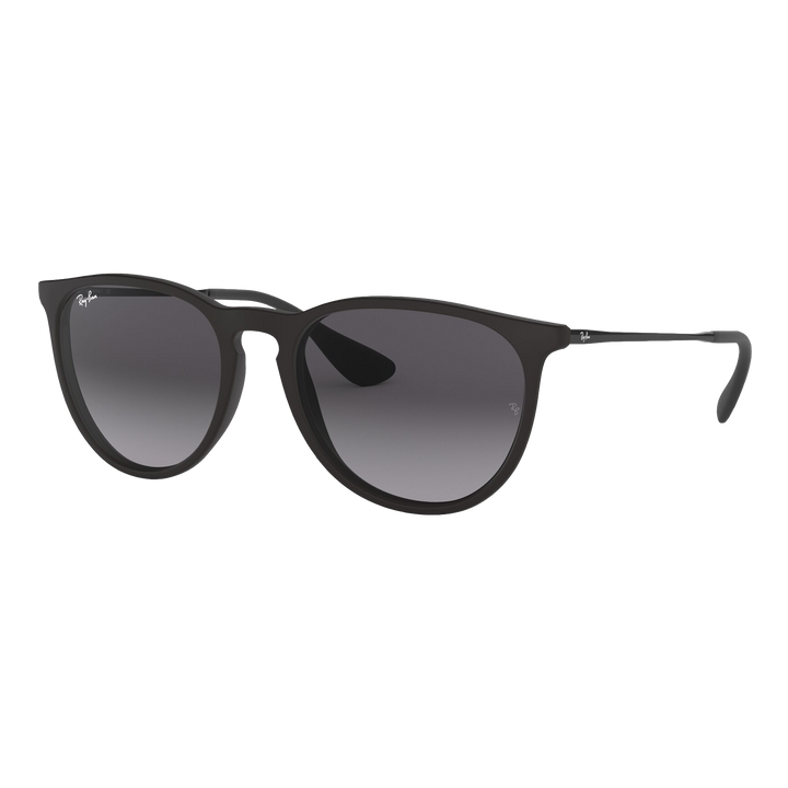 Ray-Ban Women's Erika Sunglasses