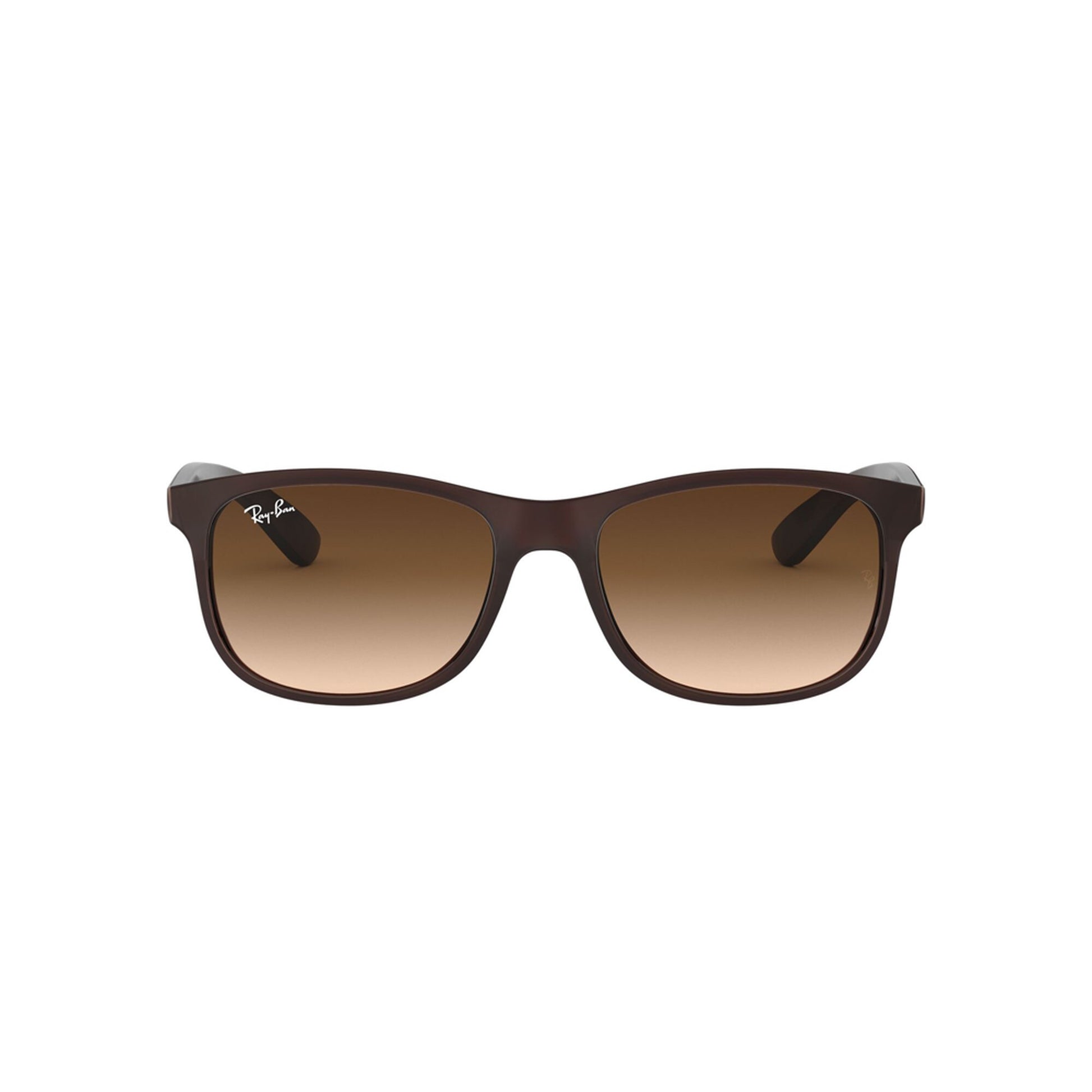 Ray-Ban Andy Sunglasses