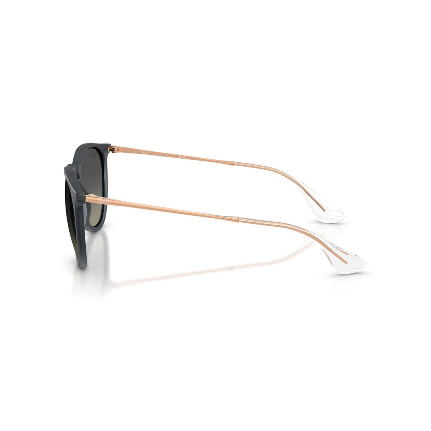 Ray-Ban Women's Erika Classic Sunglasses
