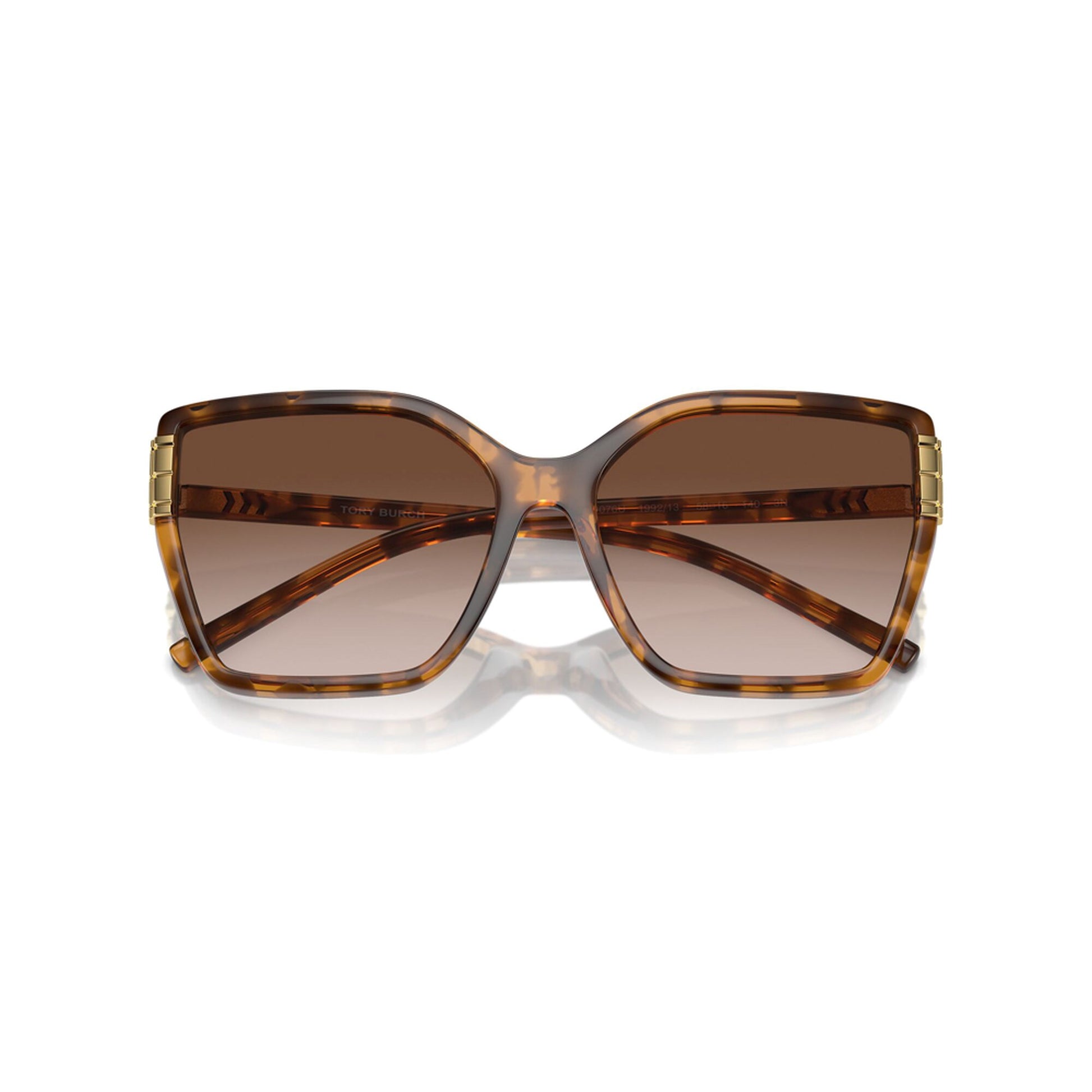 Tory Burch Women's Eleanor Oversized Cat-Eye Sunglasses