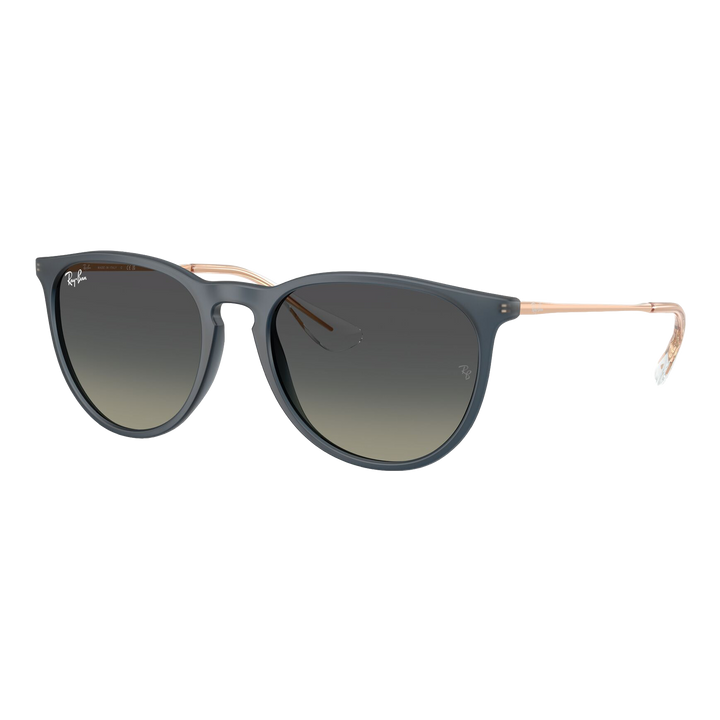 Ray-Ban Women's Erika Classic Sunglasses
