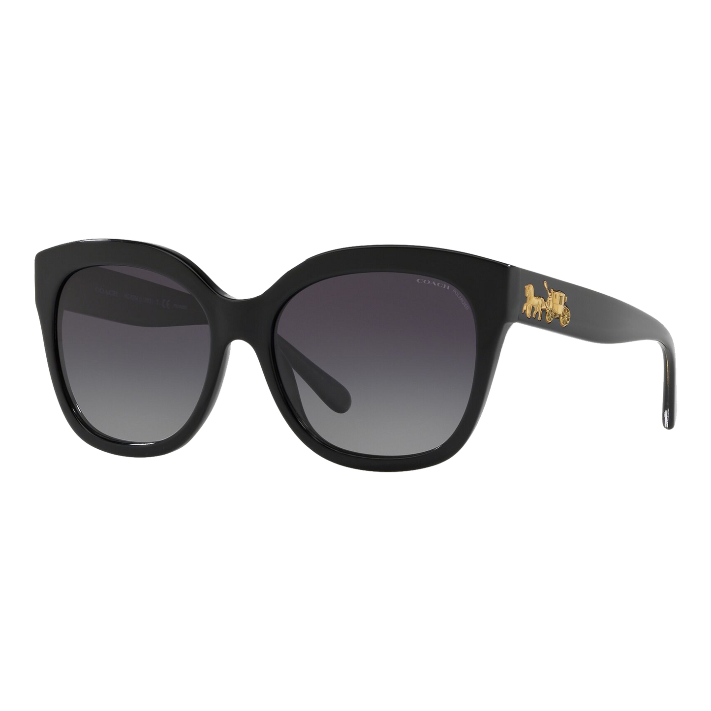 Coach Women's Polarized HC8264 Sunglasses